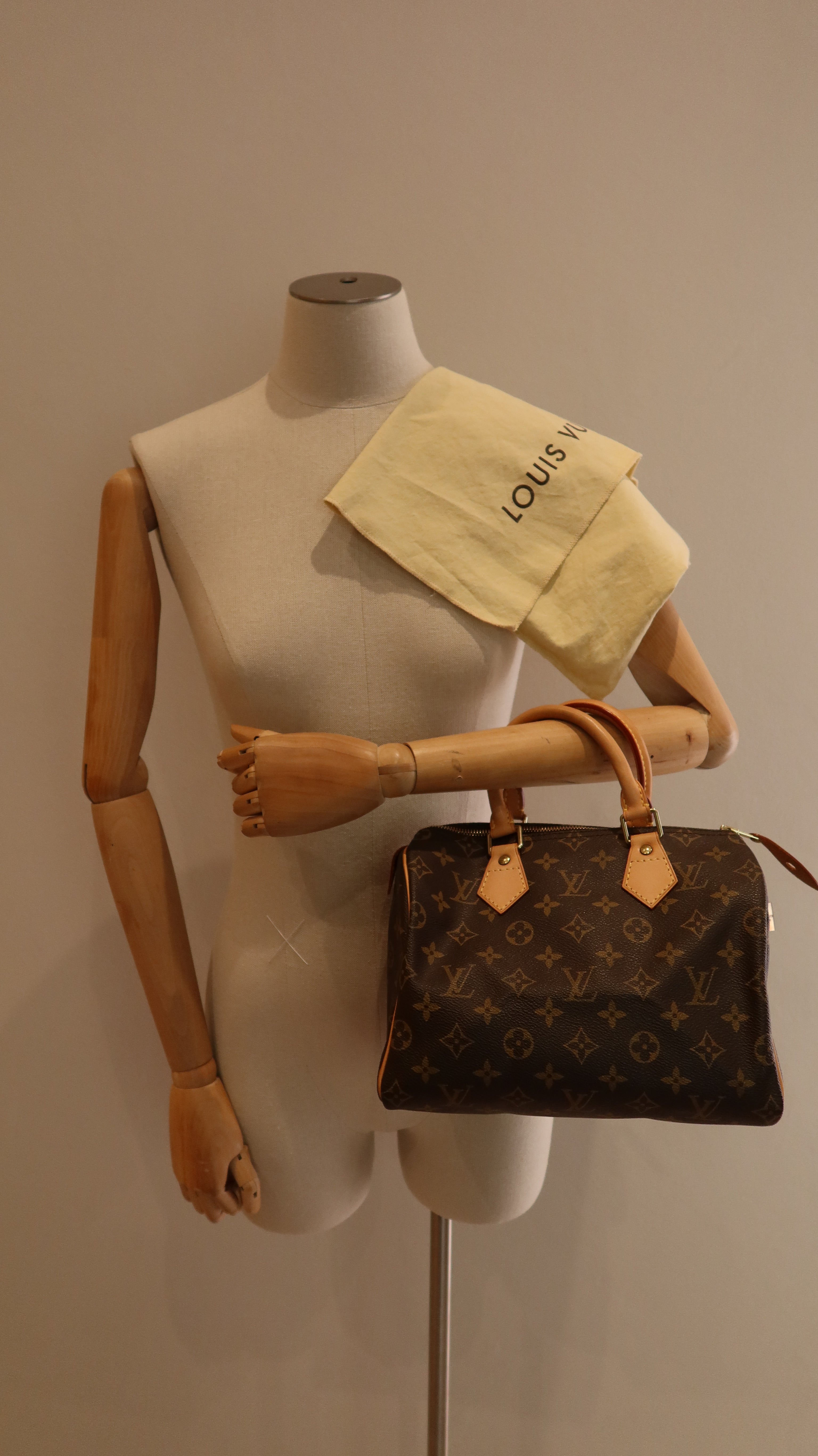 Louis Vuitton Speedy 25