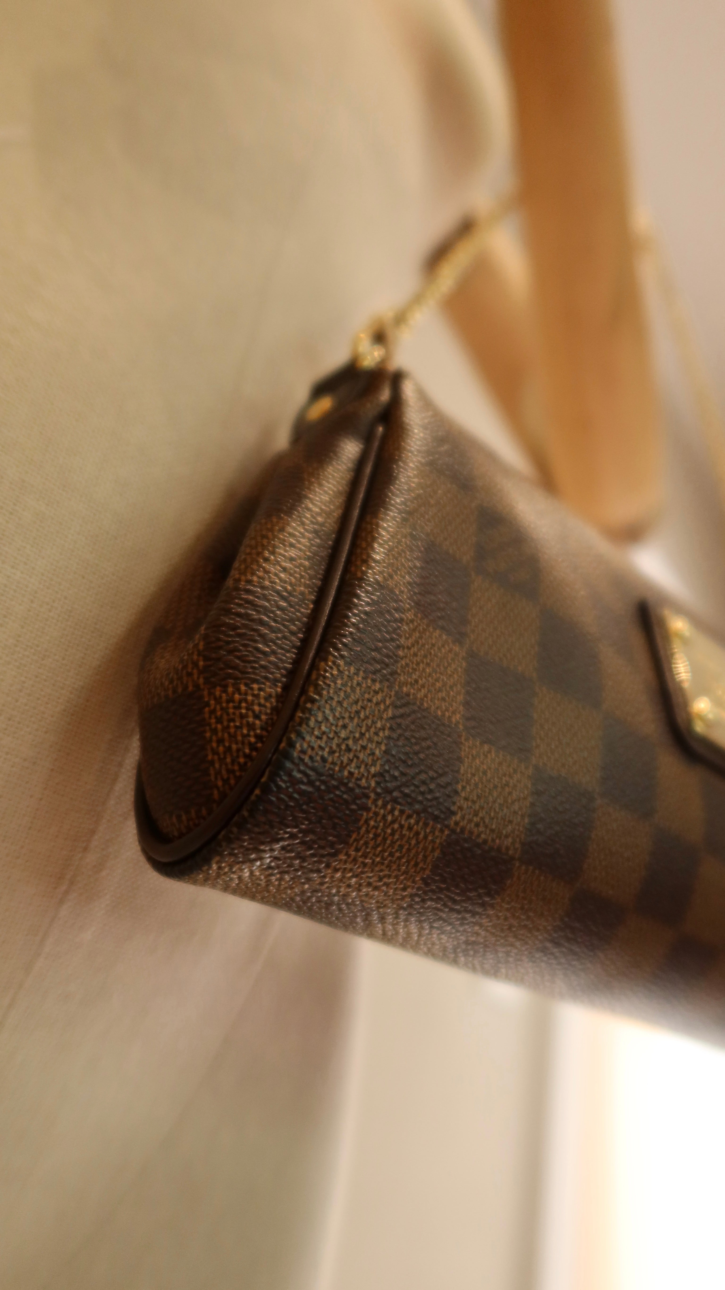 Louis Vuitton Eva Clutch
