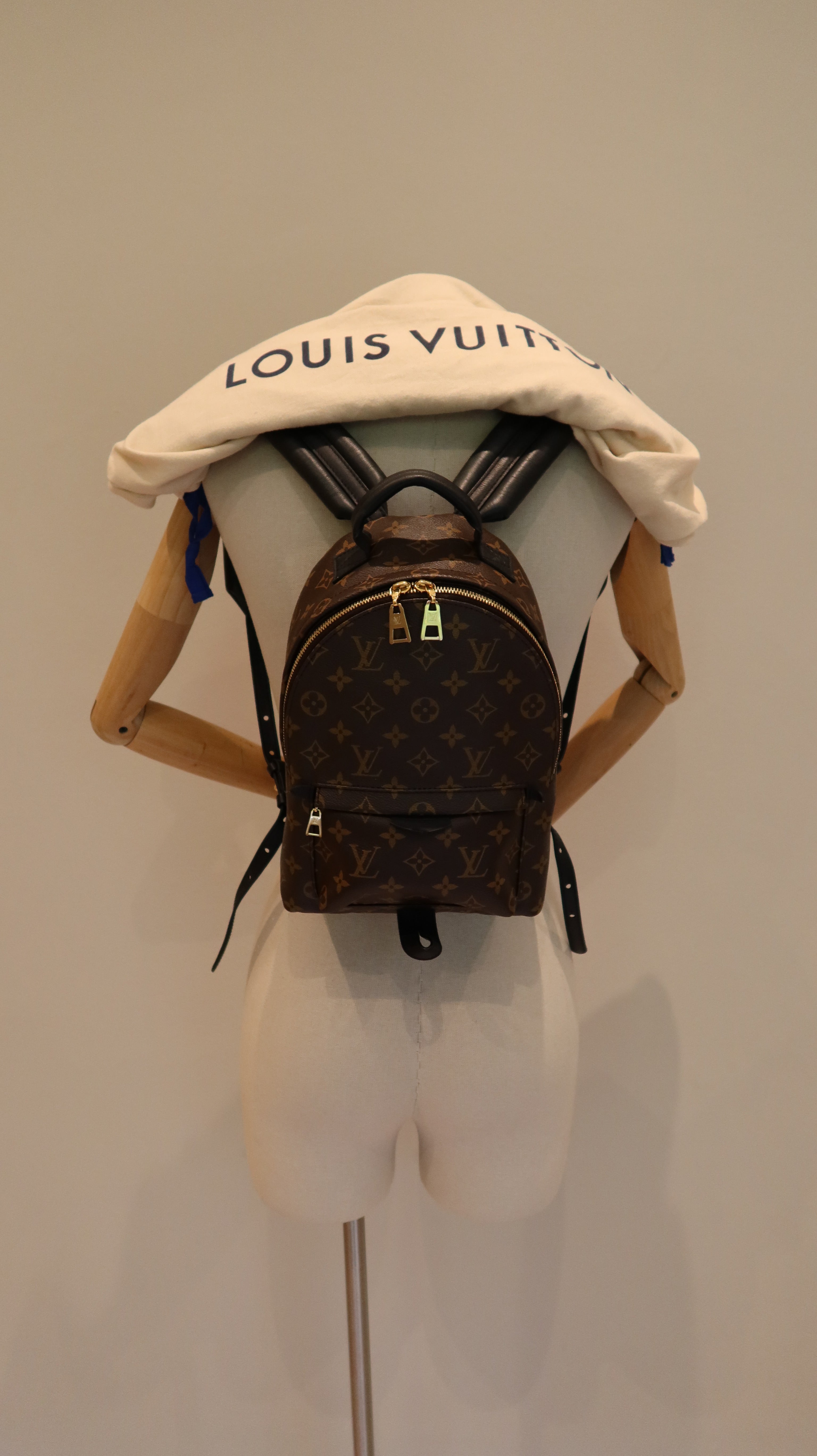 Louis Vuitton Palm Springs MM