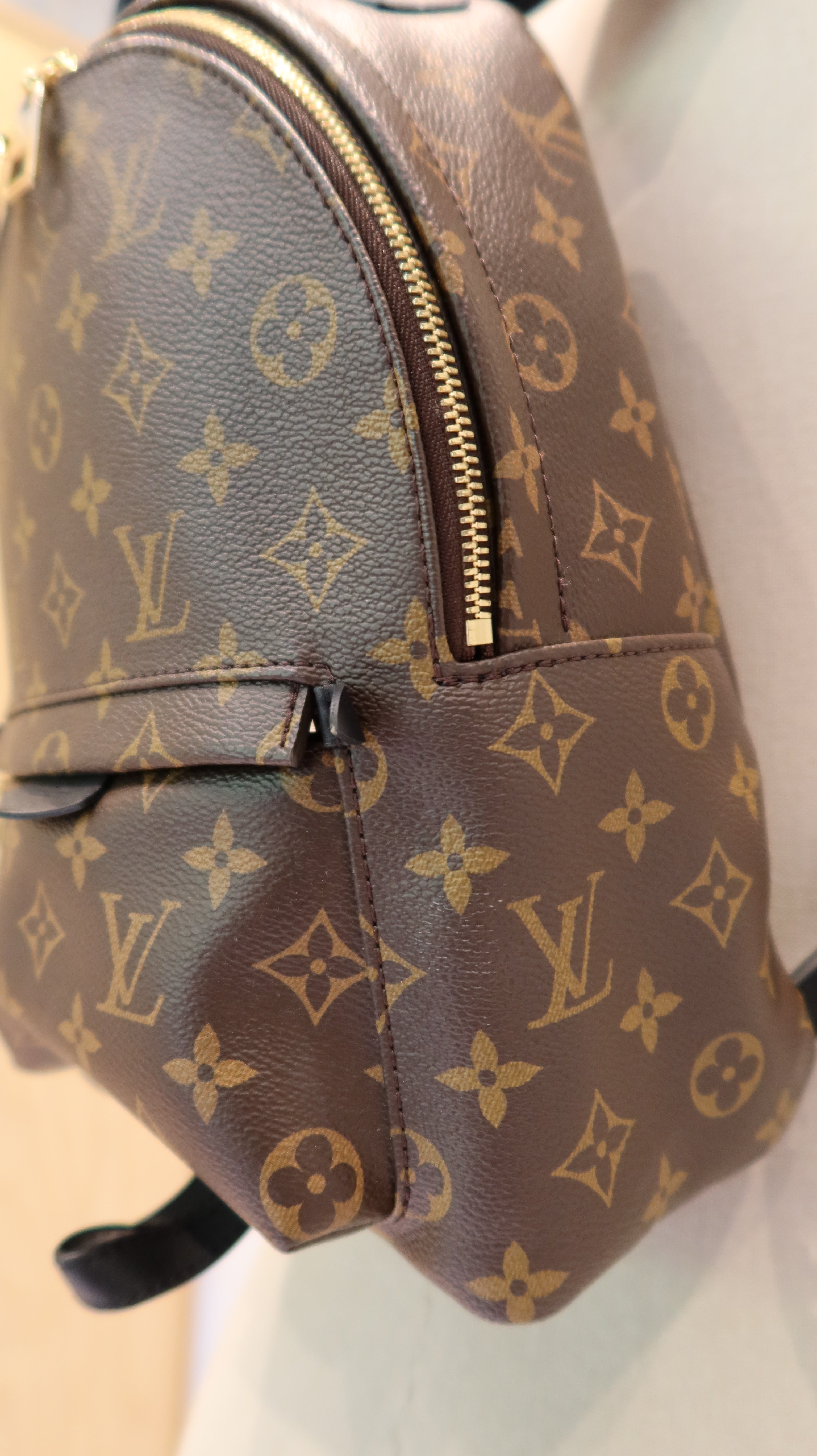 Louis Vuitton Palm Springs MM