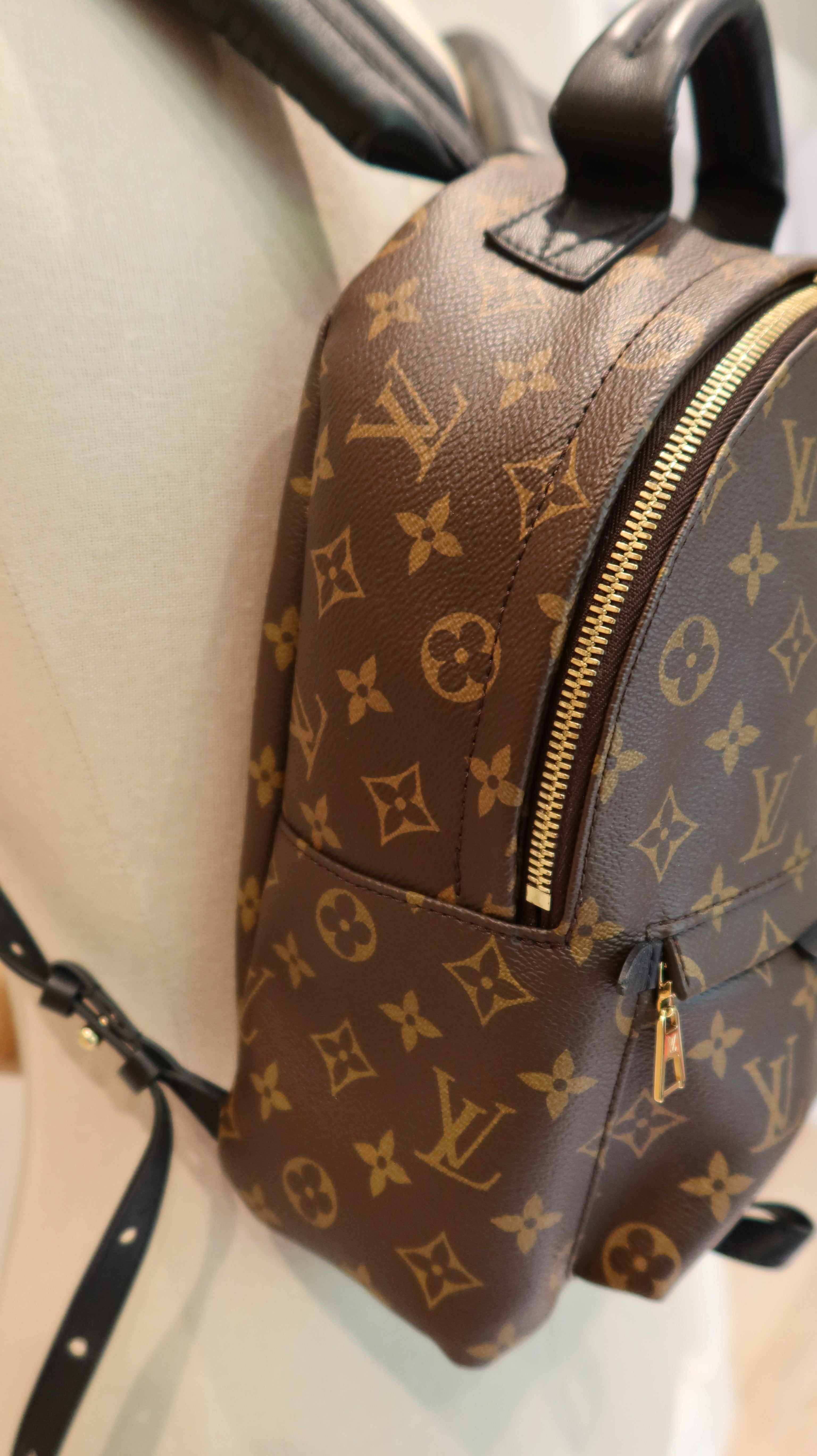 Louis Vuitton Palm Springs MM