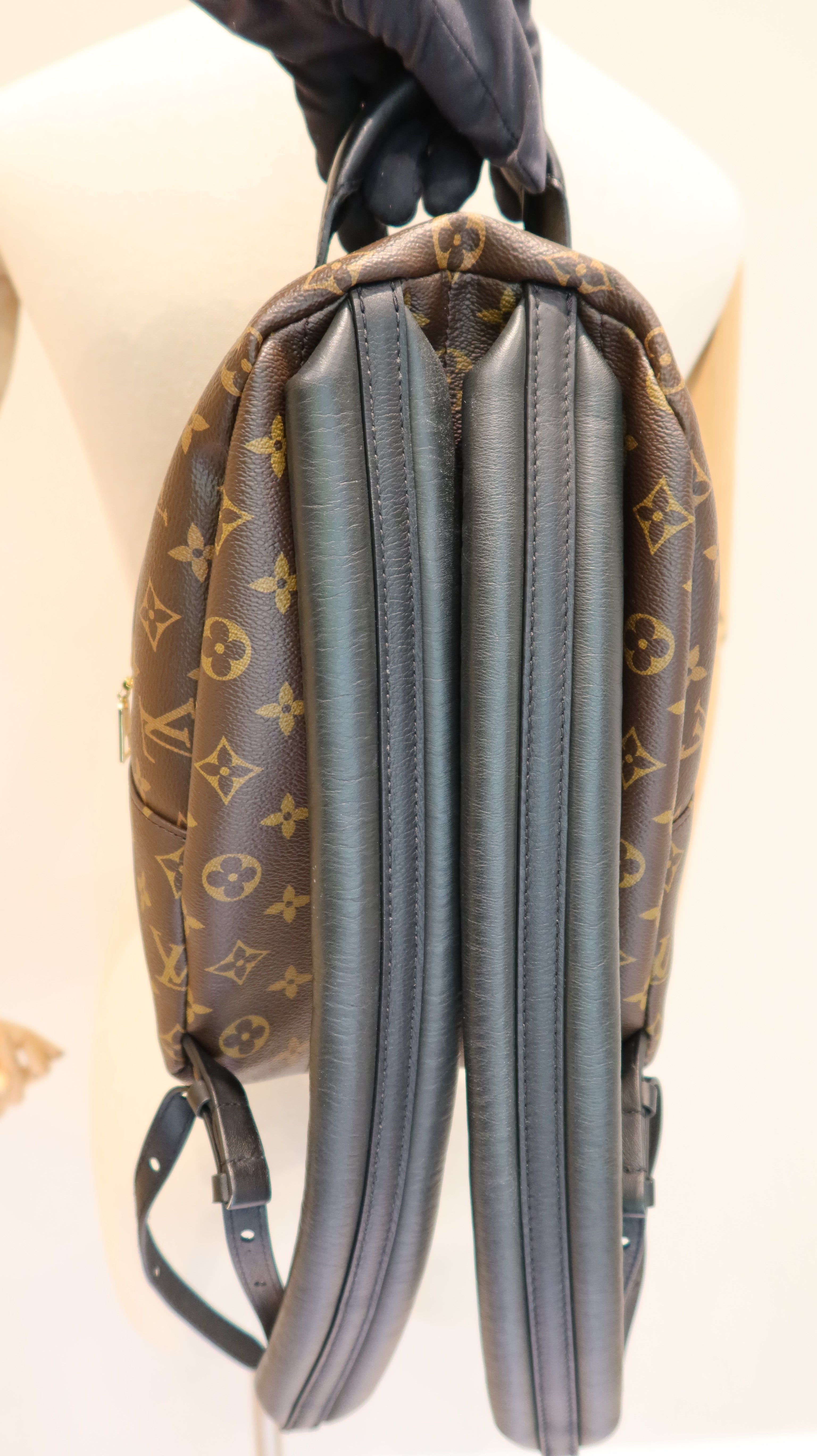 Louis Vuitton Palm Springs MM