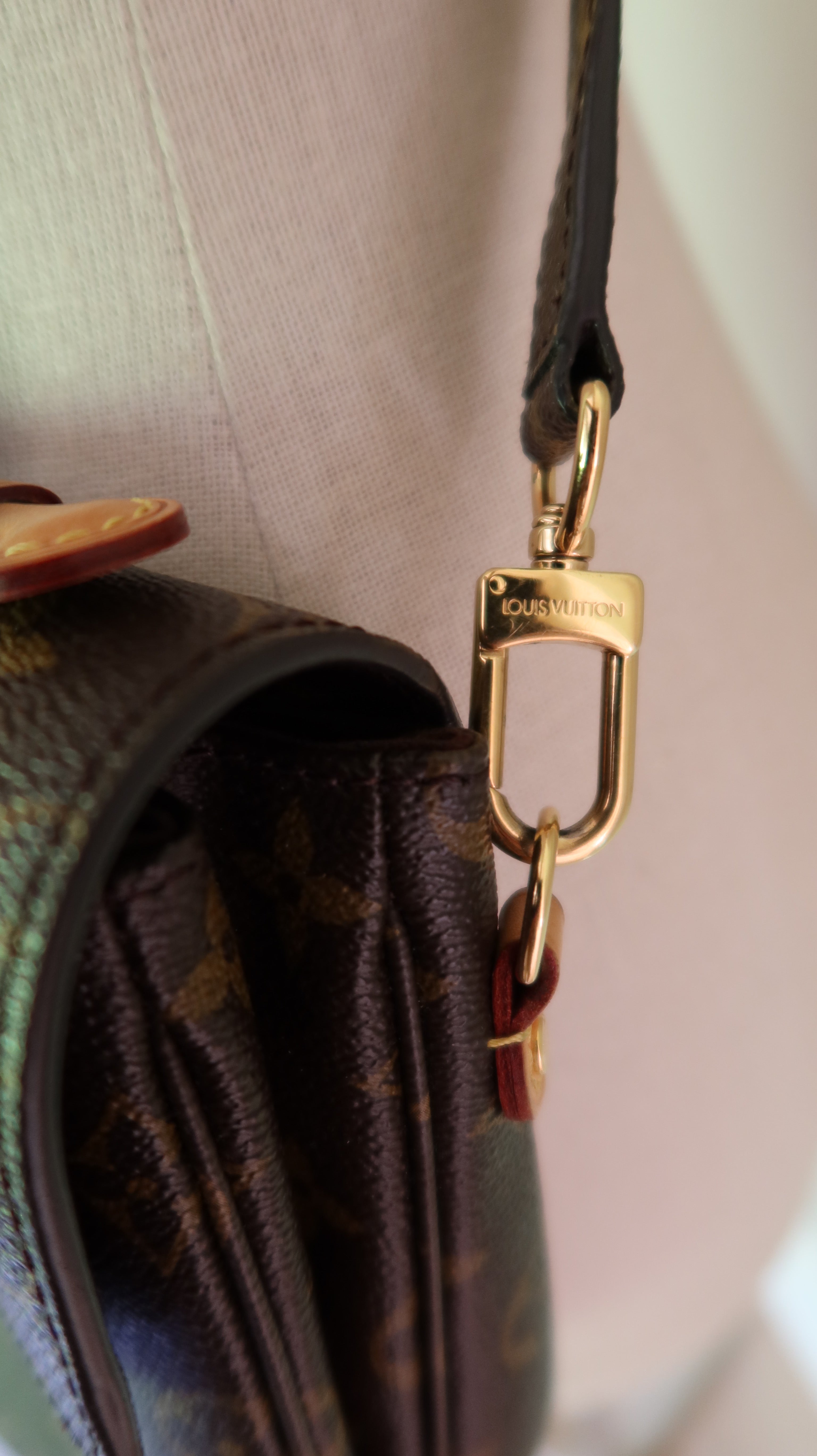 Louis Vuitton Metis Bag