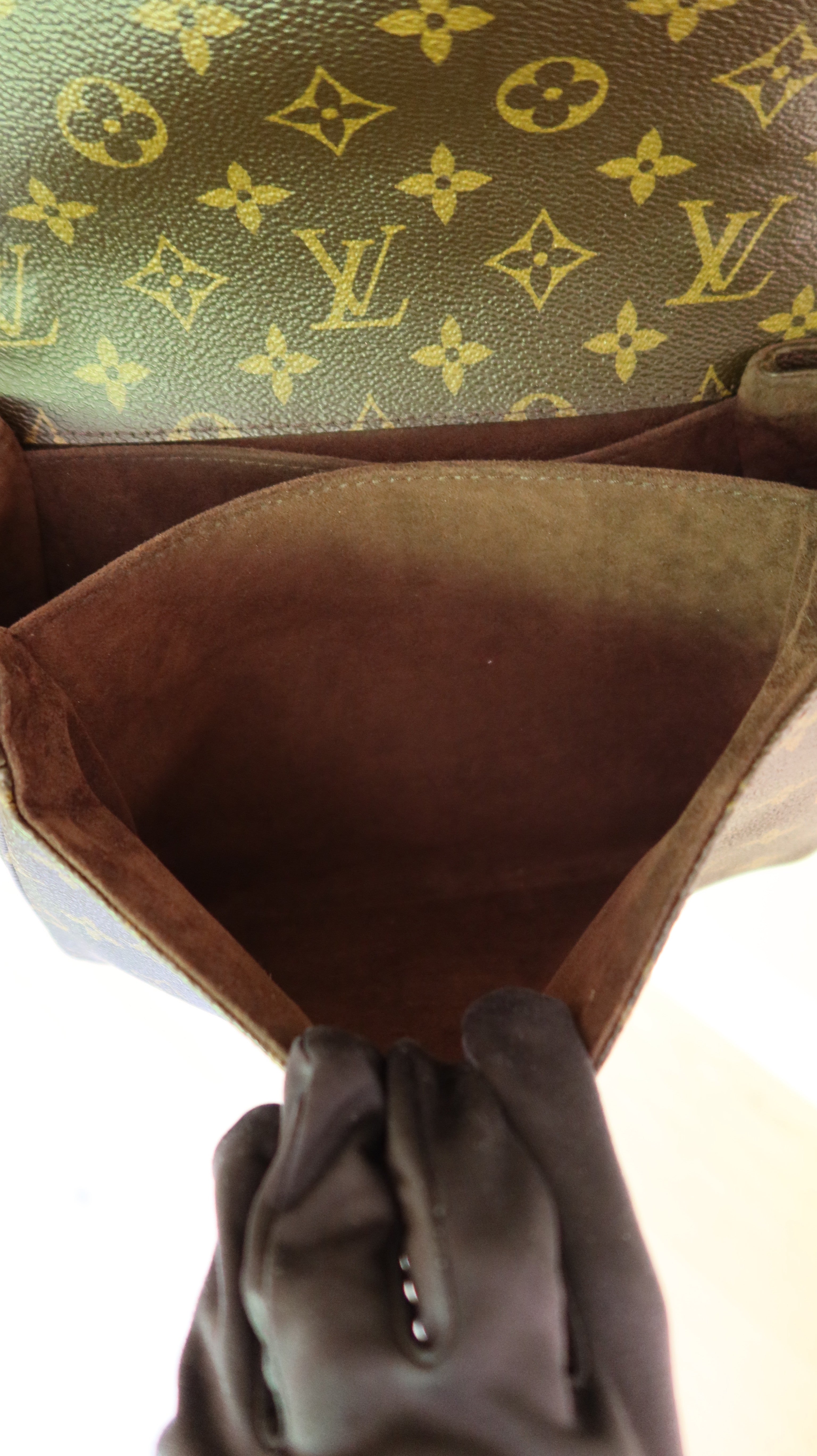 Louis Vuitton Metis Bag