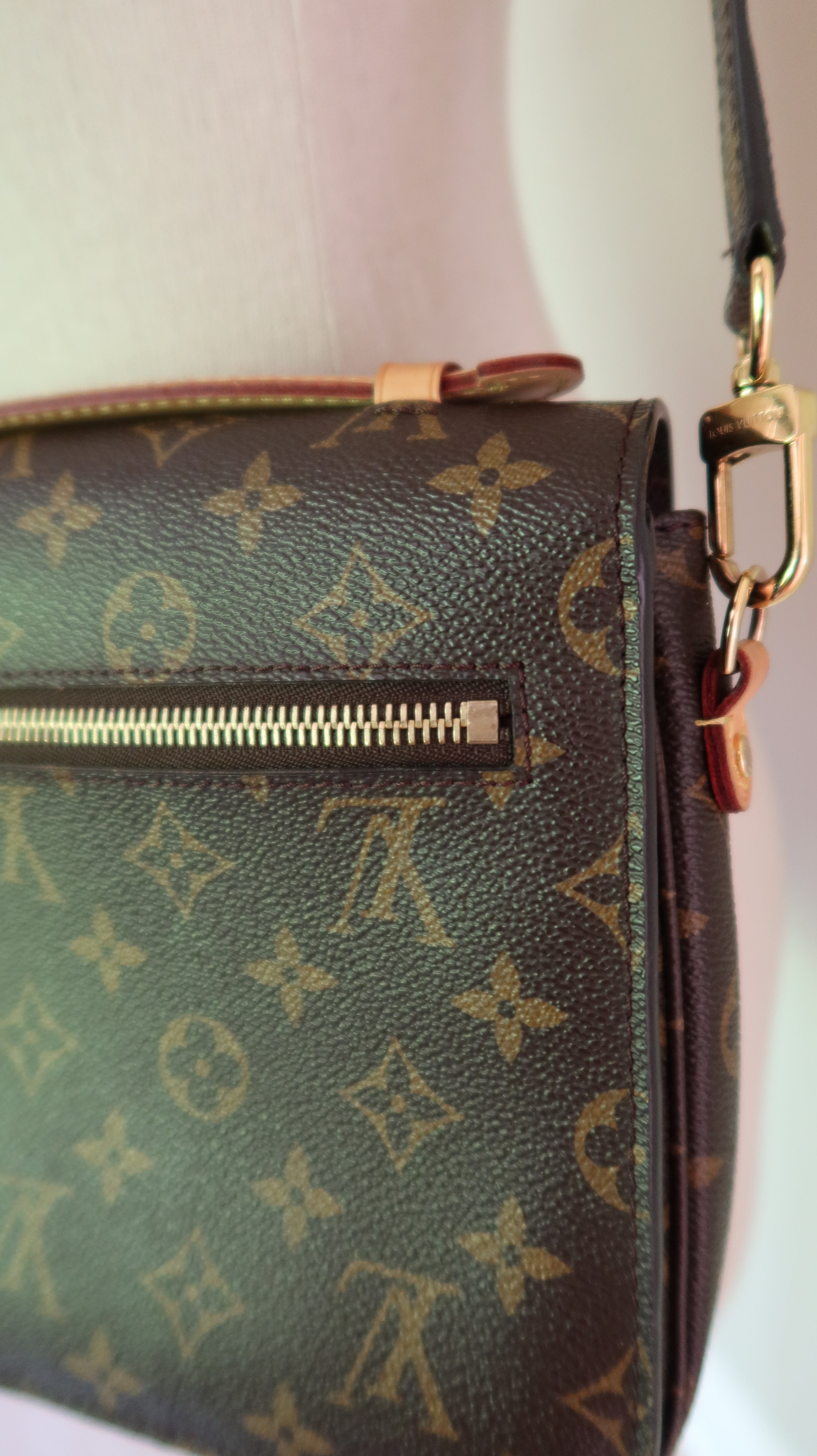 Louis Vuitton Metis Bag