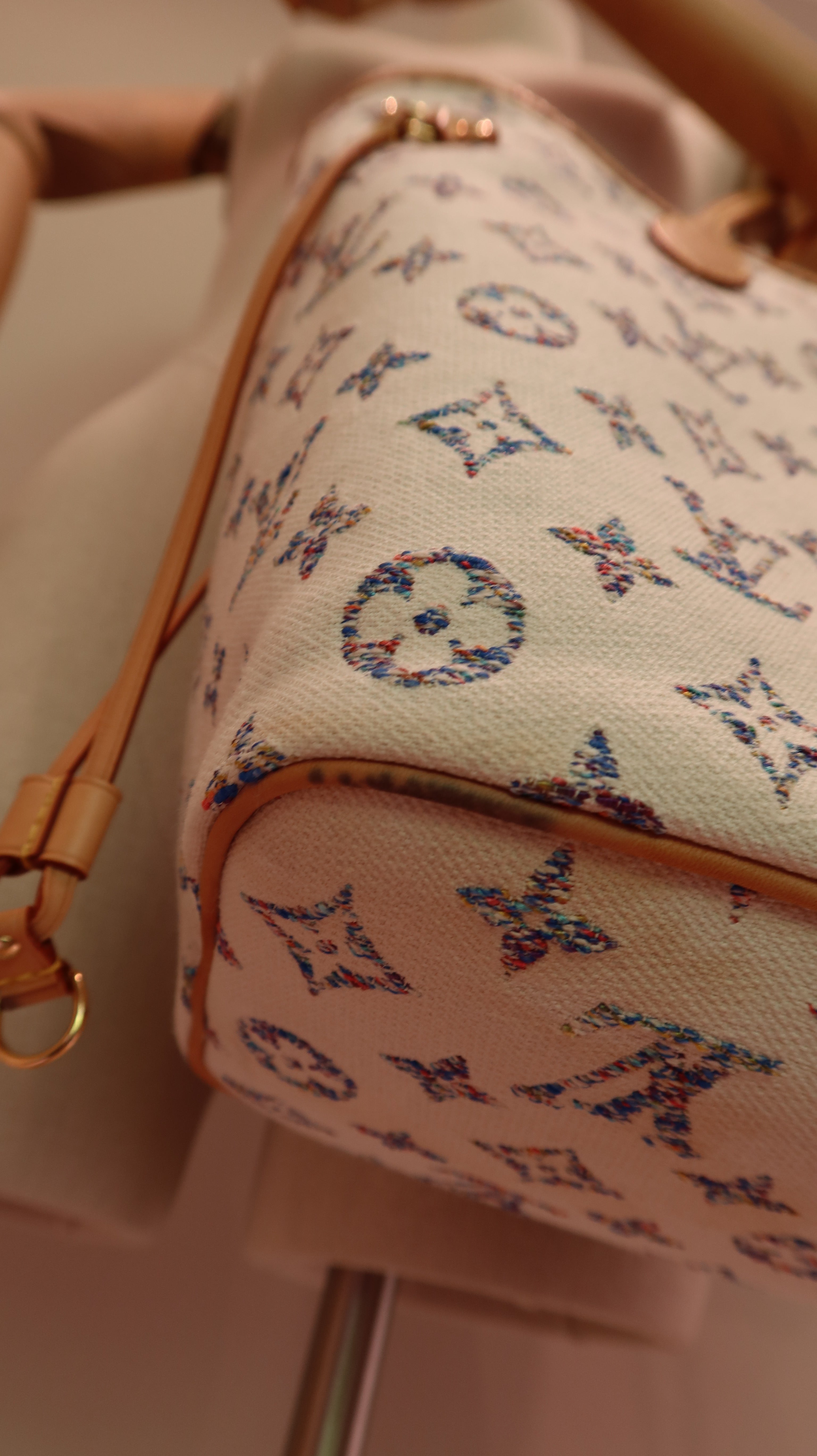 Louis Vuitton Neverfull MM