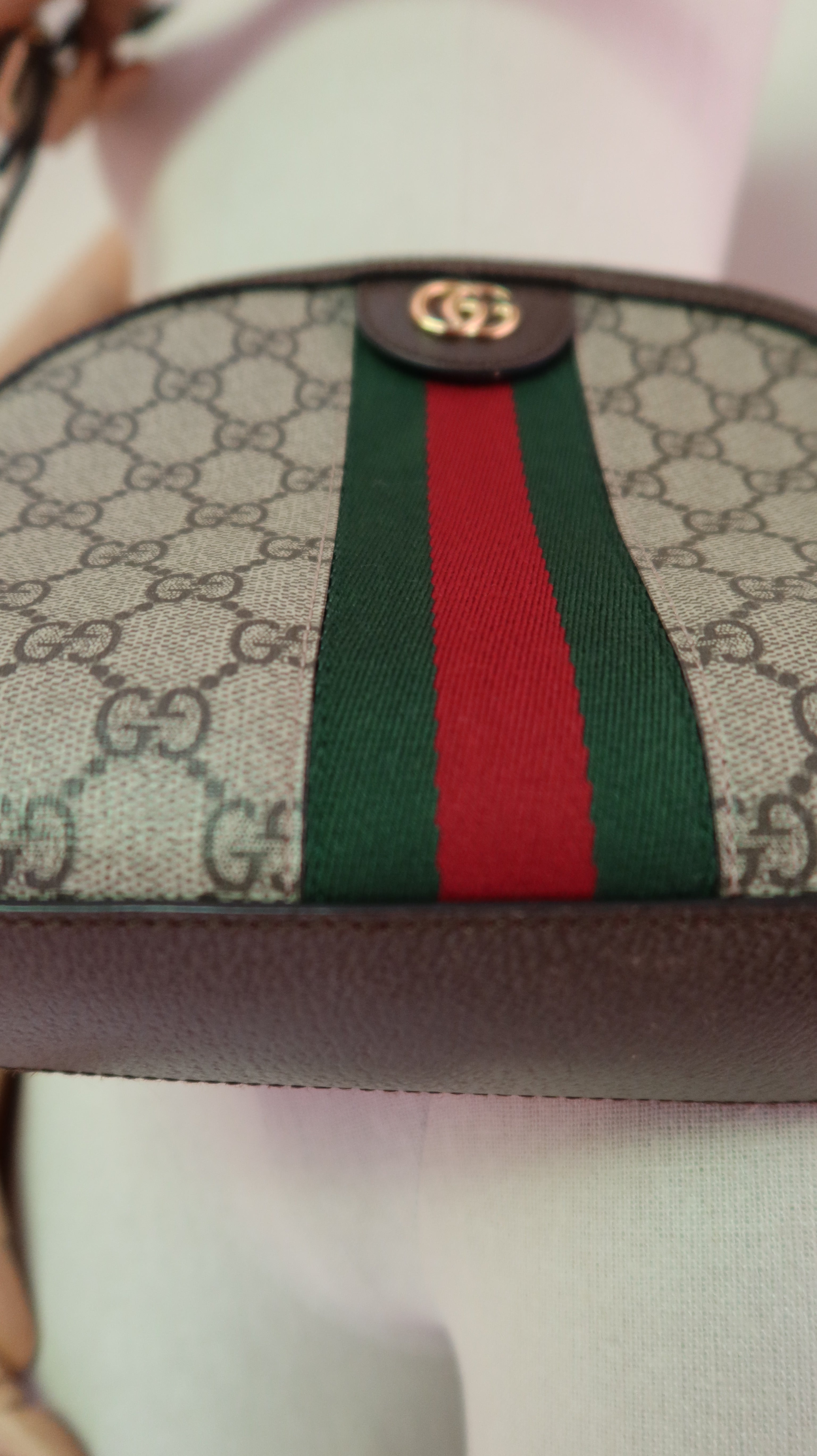 Gucci Ophidia Bag