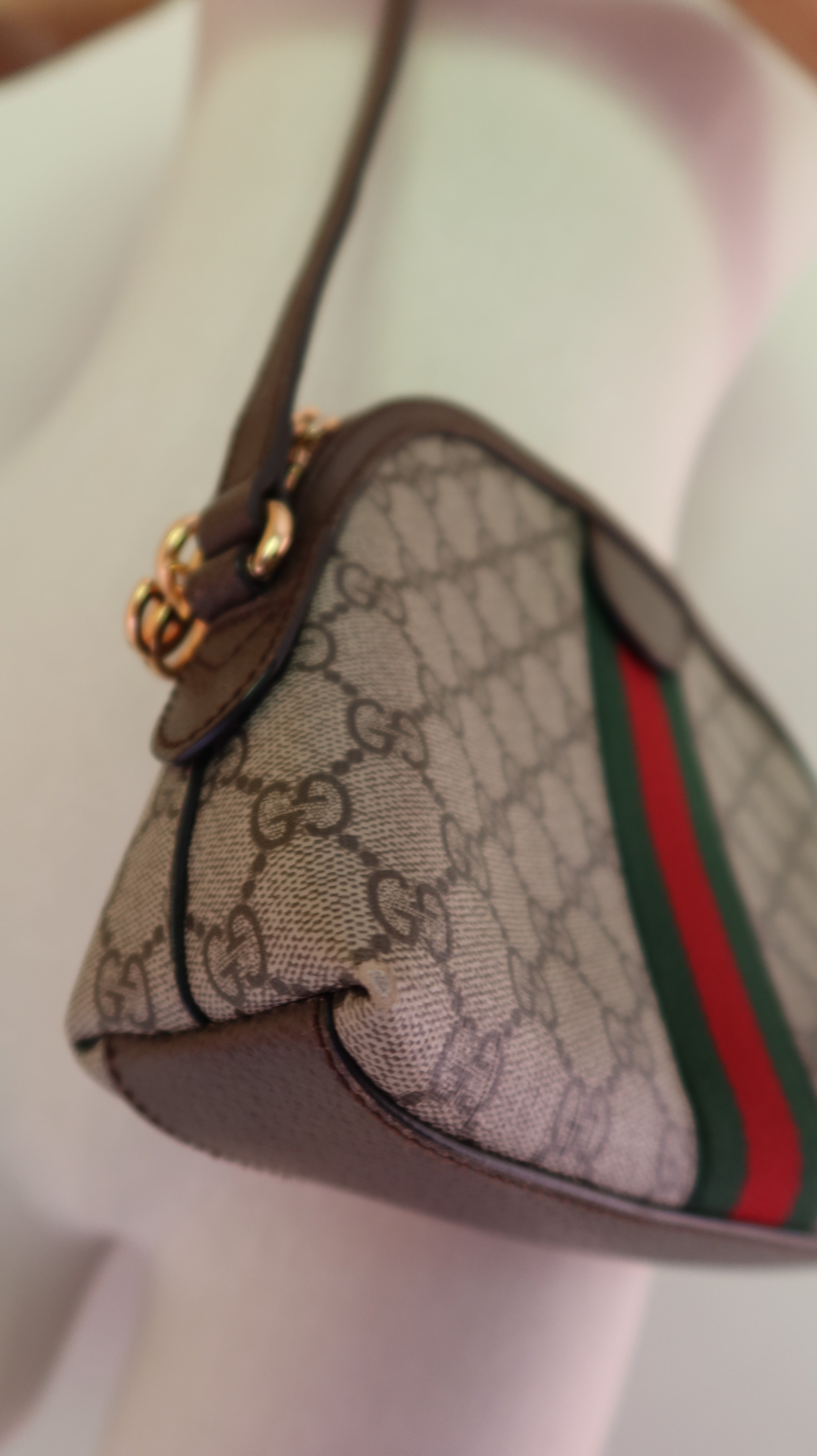 Gucci Ophidia Bag