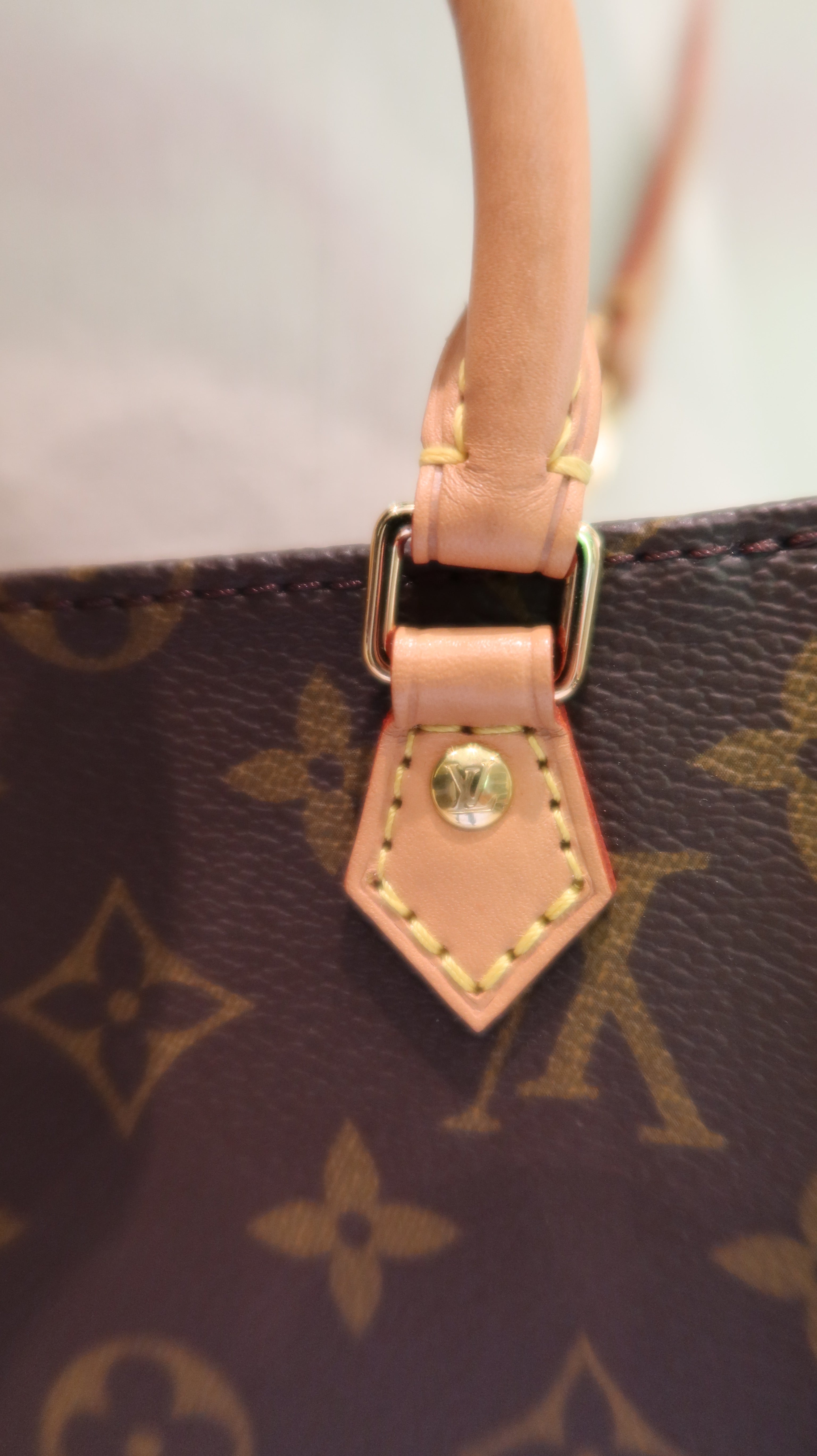 Louis Vuitton Petit Sac Plat