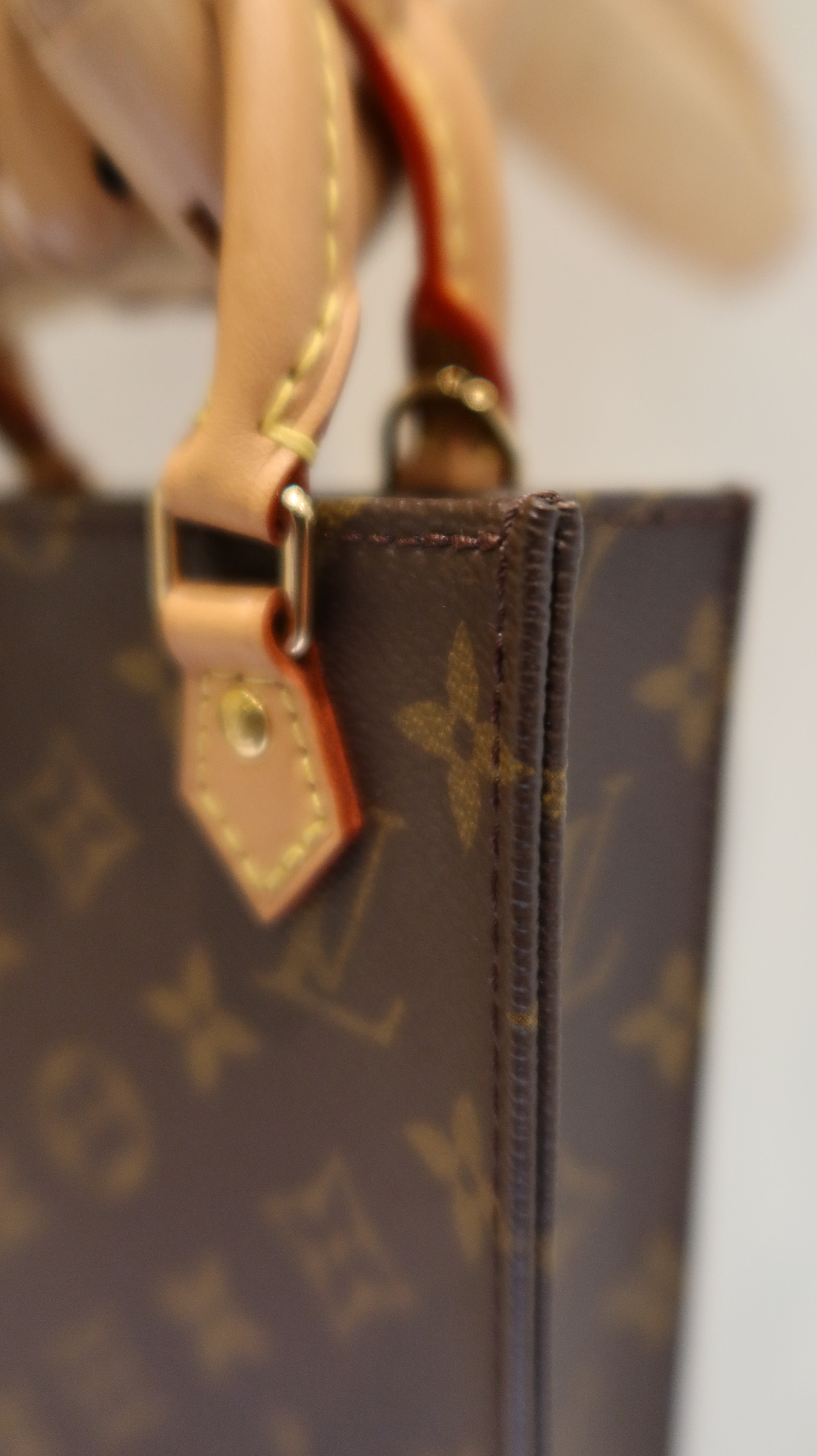 Louis Vuitton Petit Sac Plat