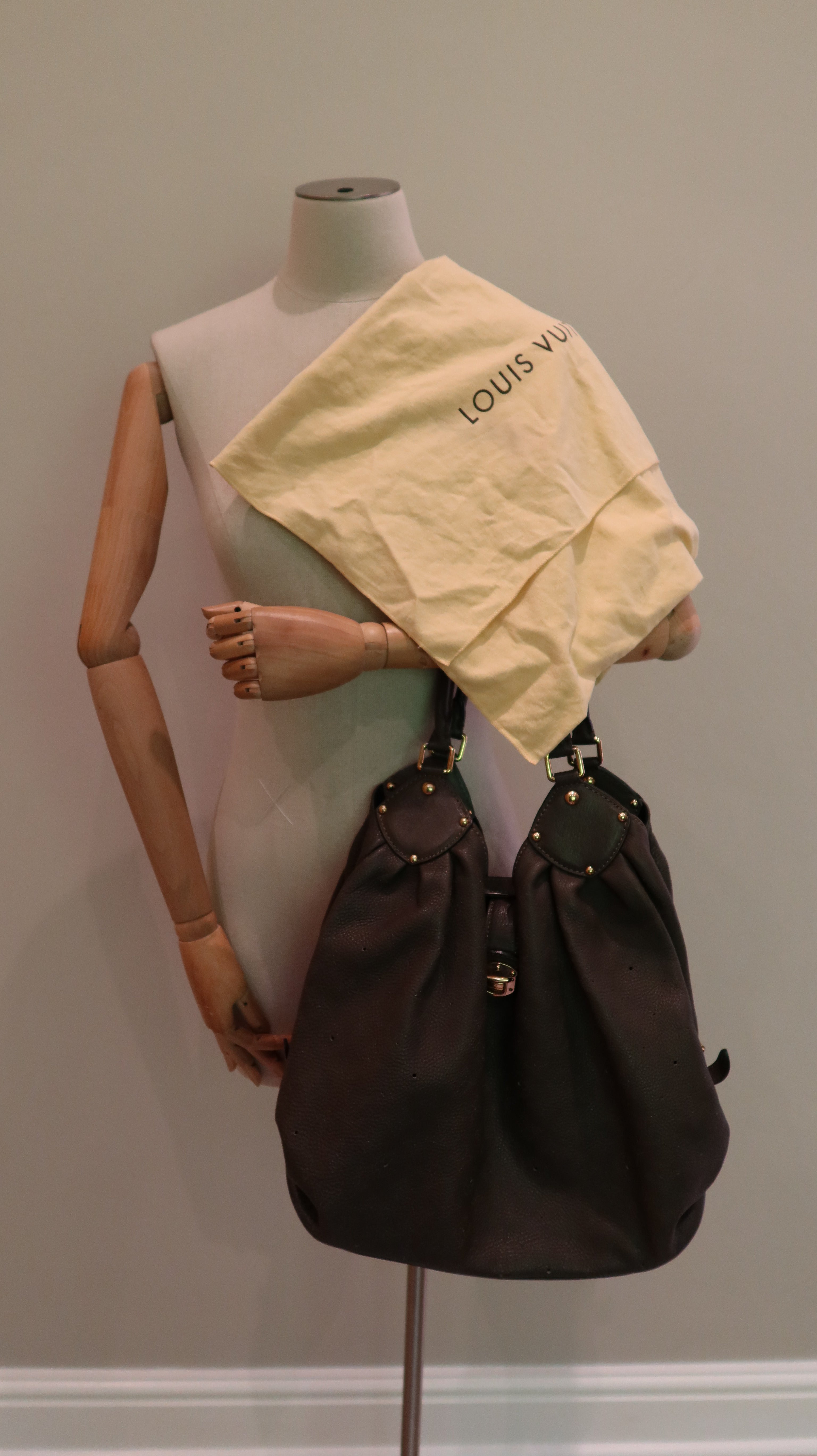 Louis Vuitton Hobo Bag