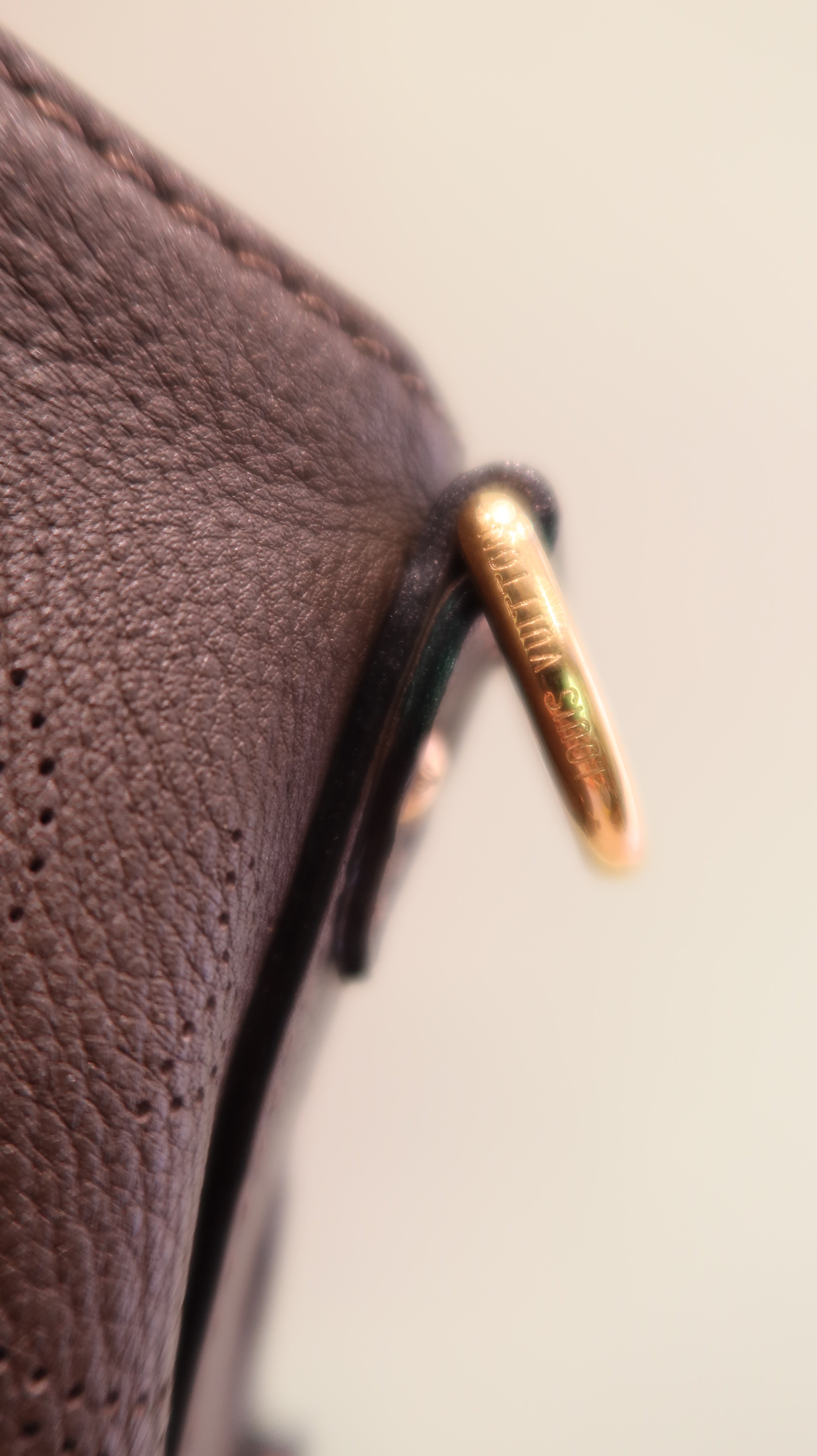 Louis Vuitton Hobo Bag