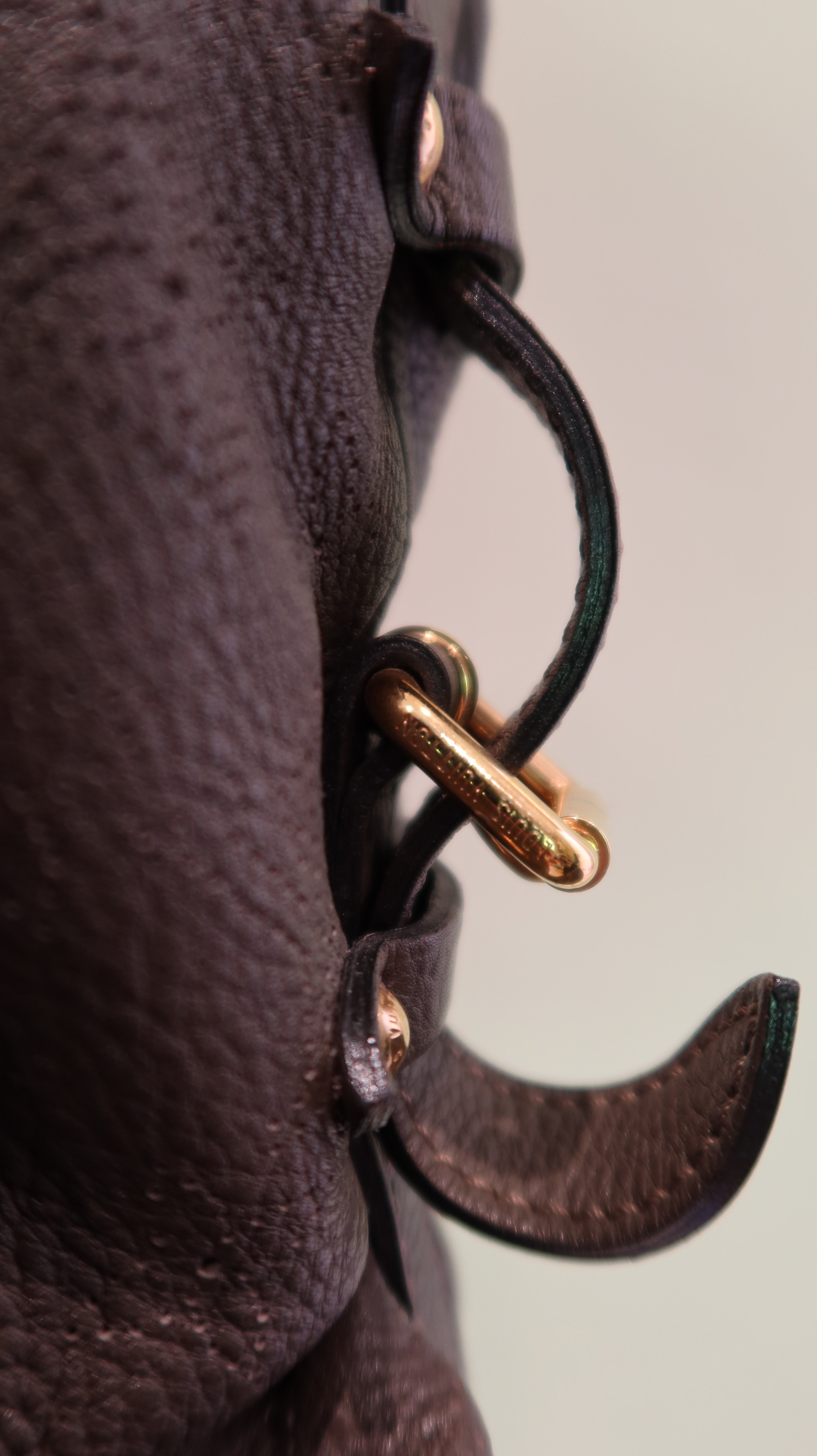 Louis Vuitton Hobo Bag