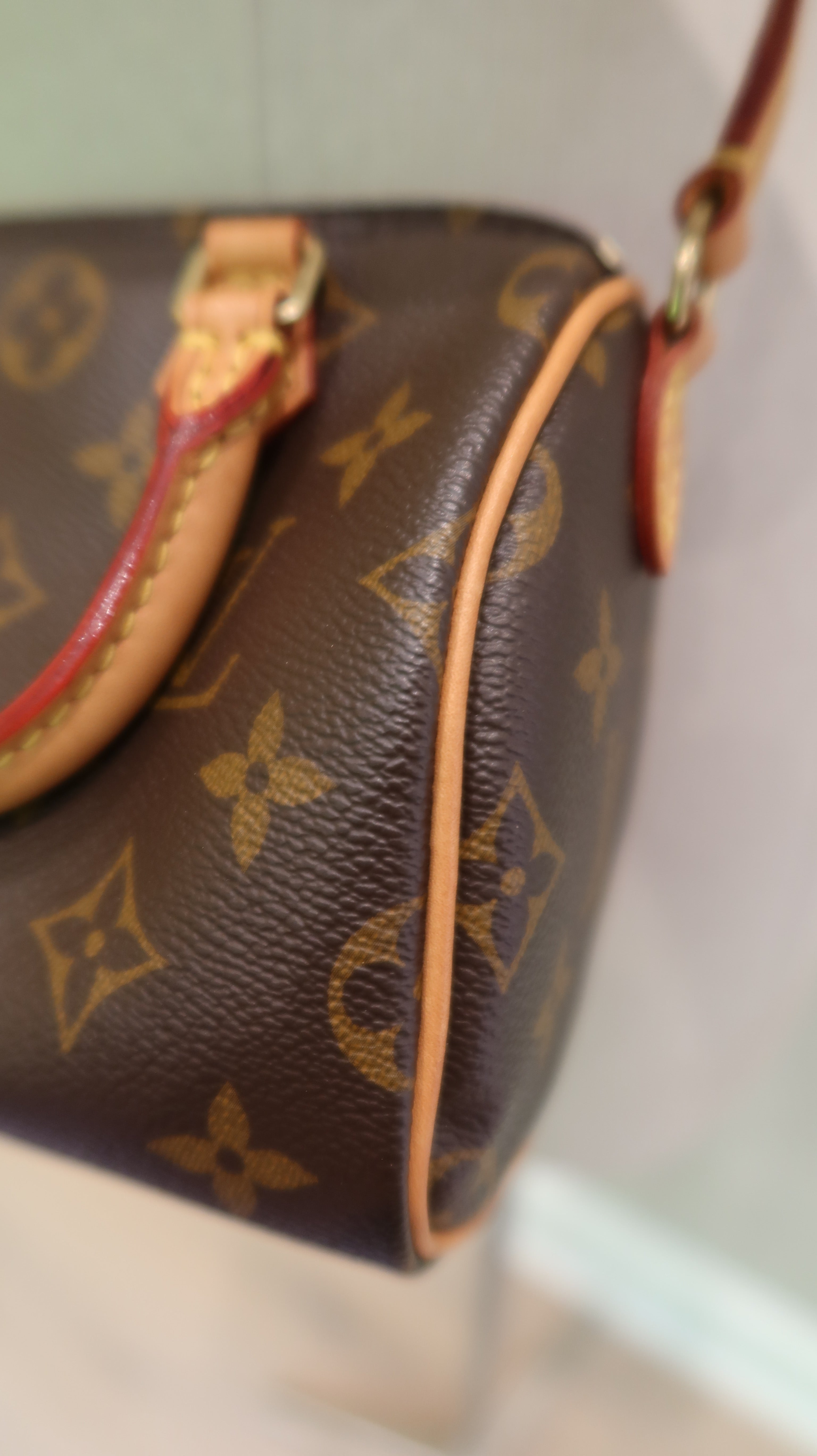 Louis Vuitton Nano Speedy