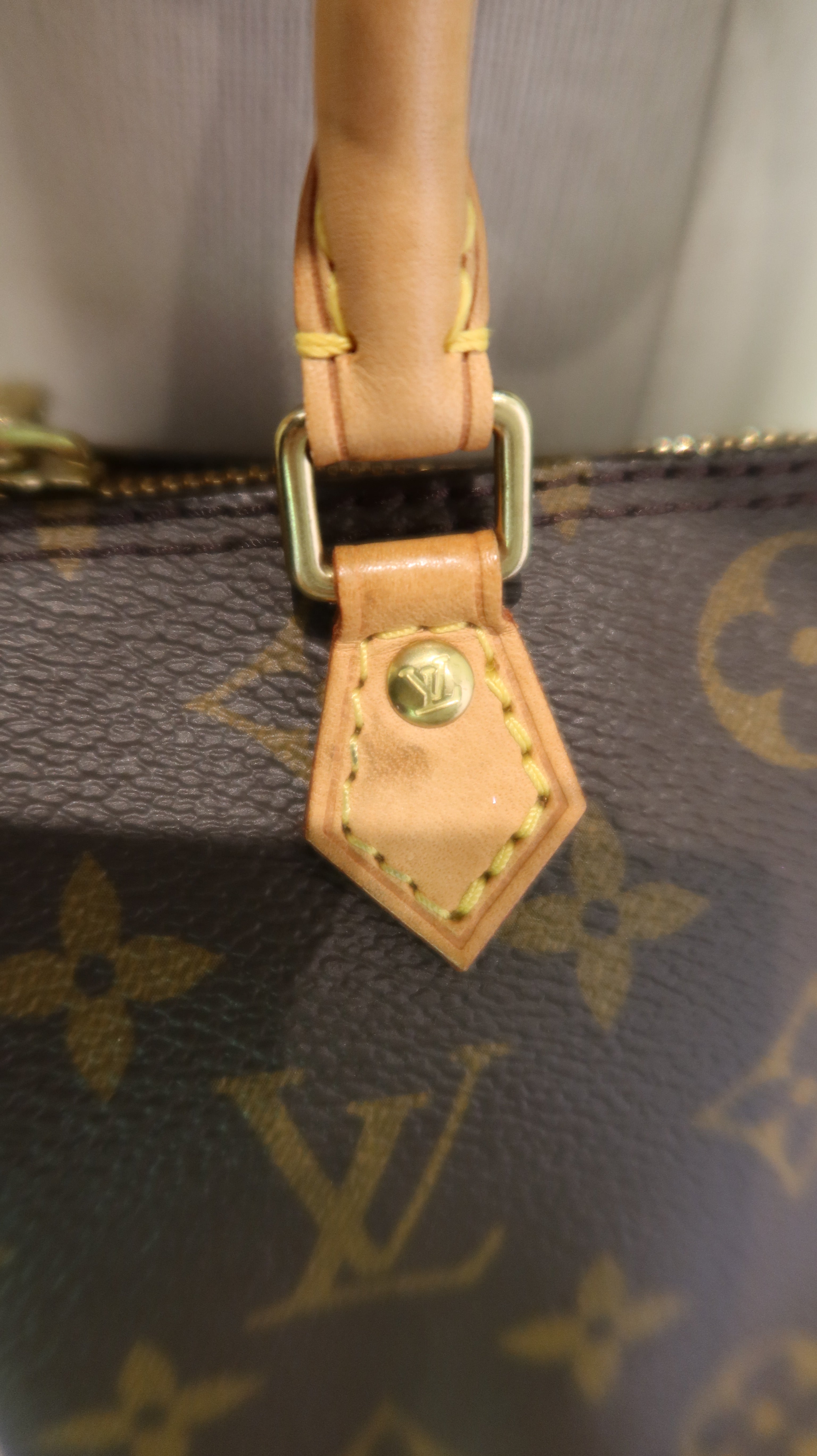 Louis Vuitton Nano Speedy