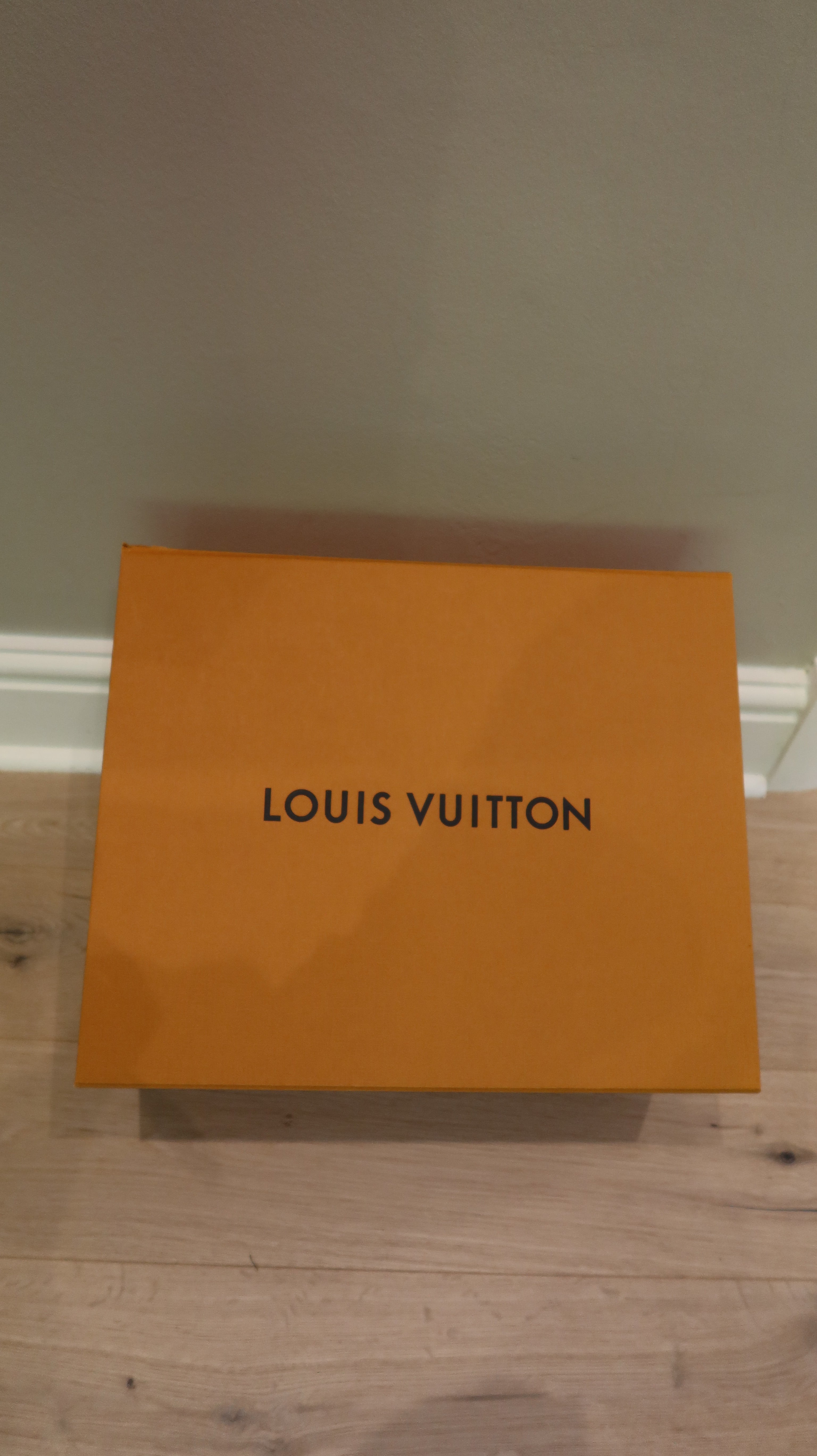 Louis Vuitton By The Pool Neverfull MM