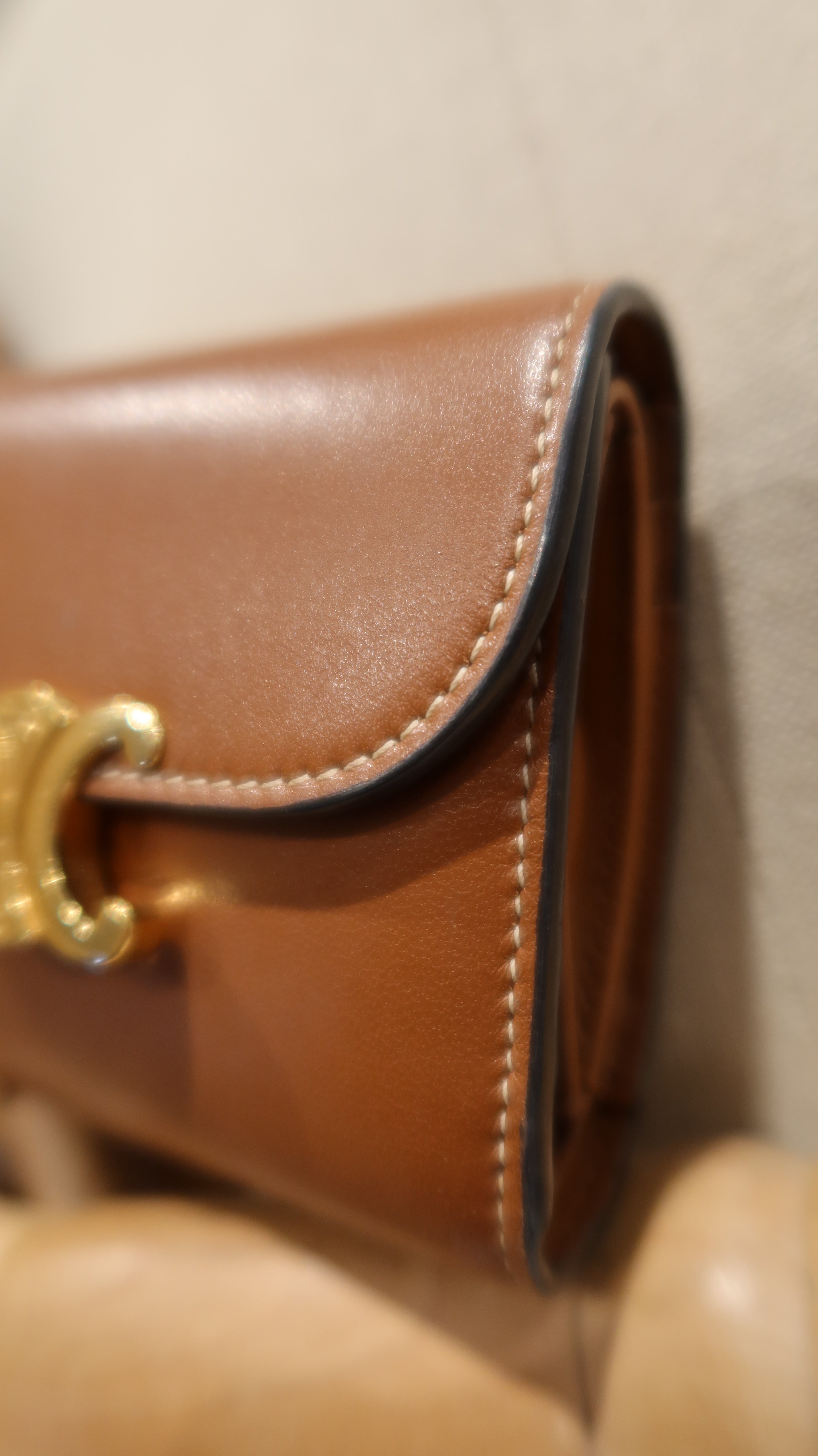 Celine Triomphe Purse
