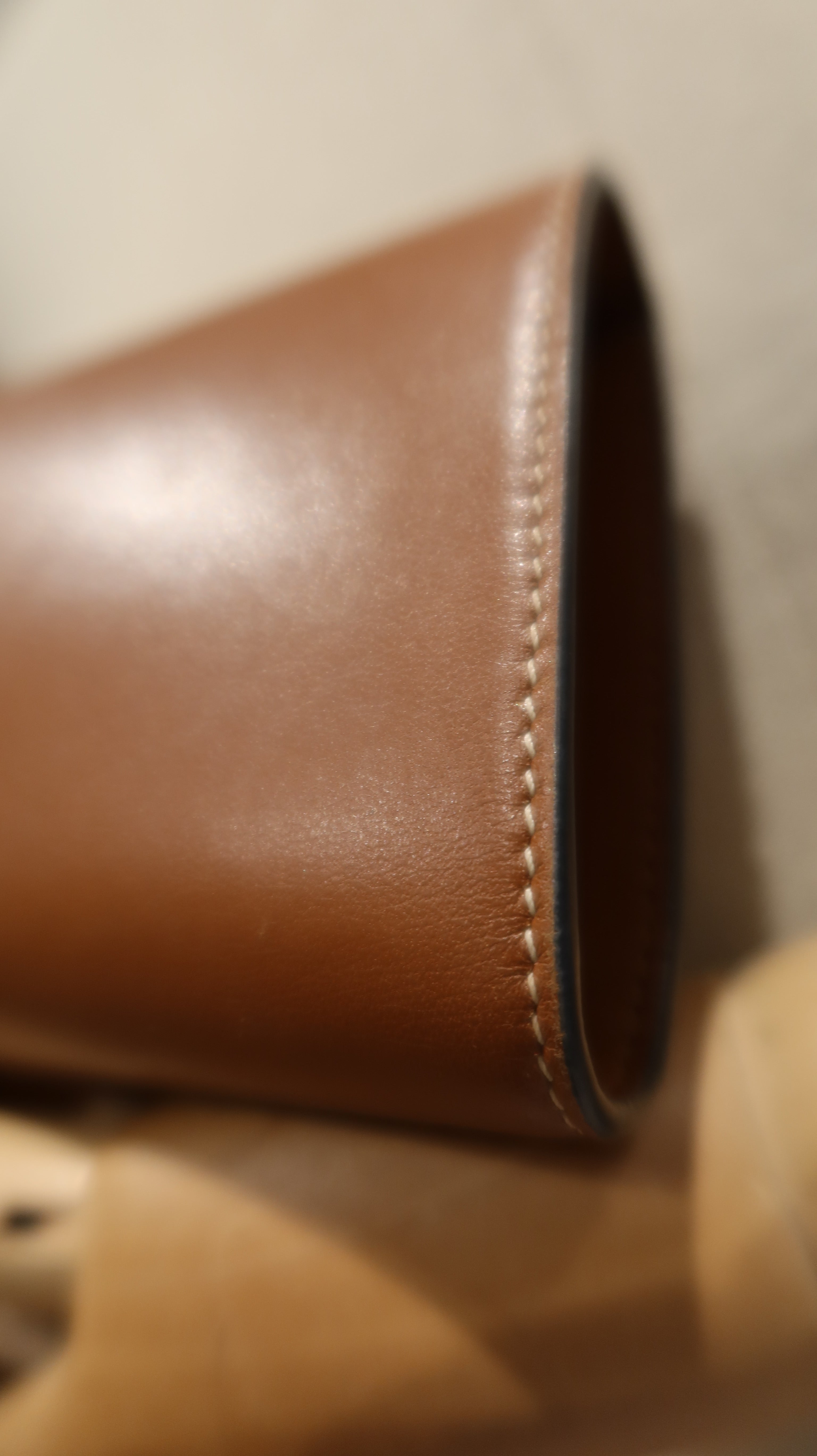 Celine Triomphe Purse