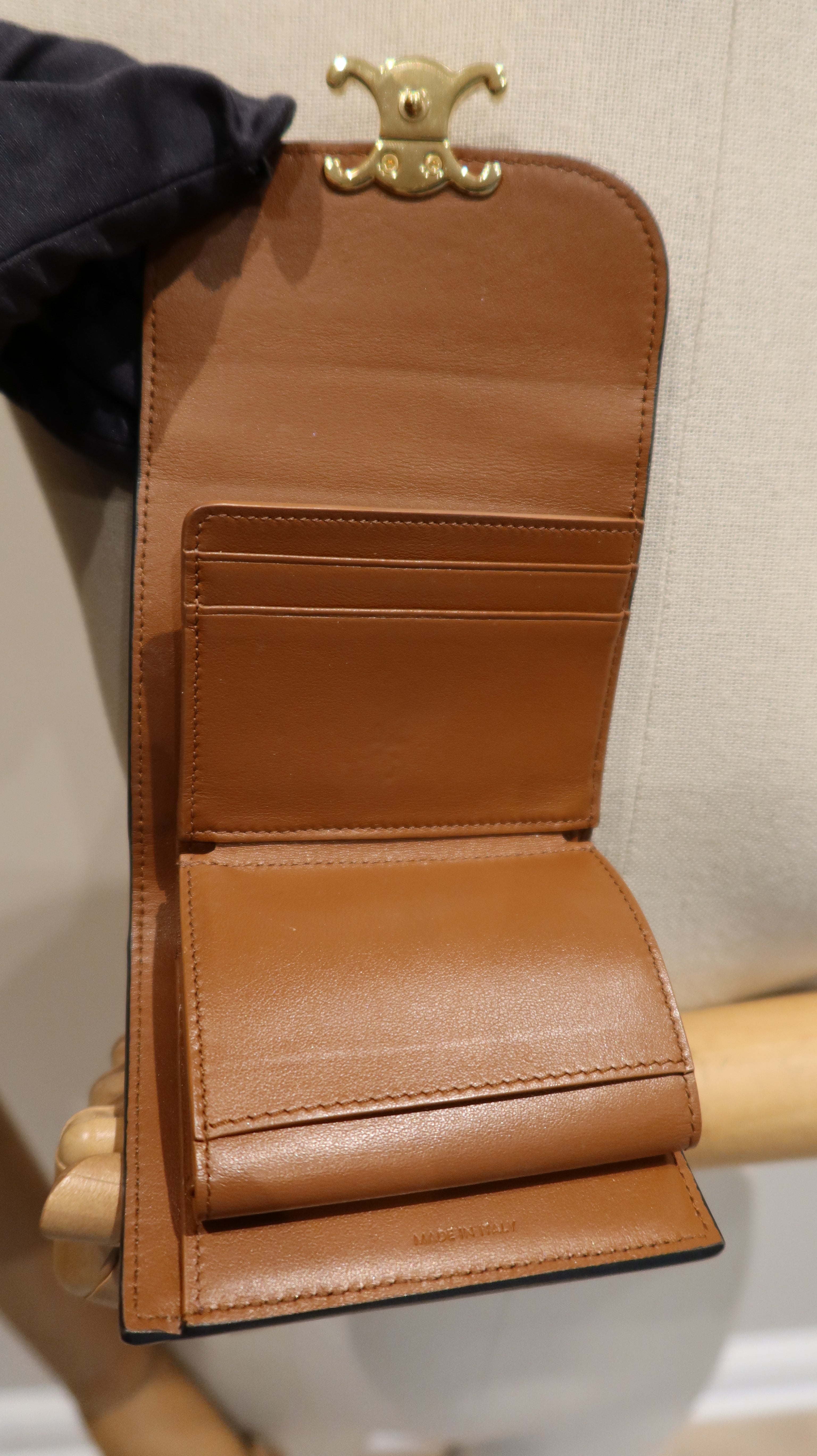 Celine Triomphe Purse