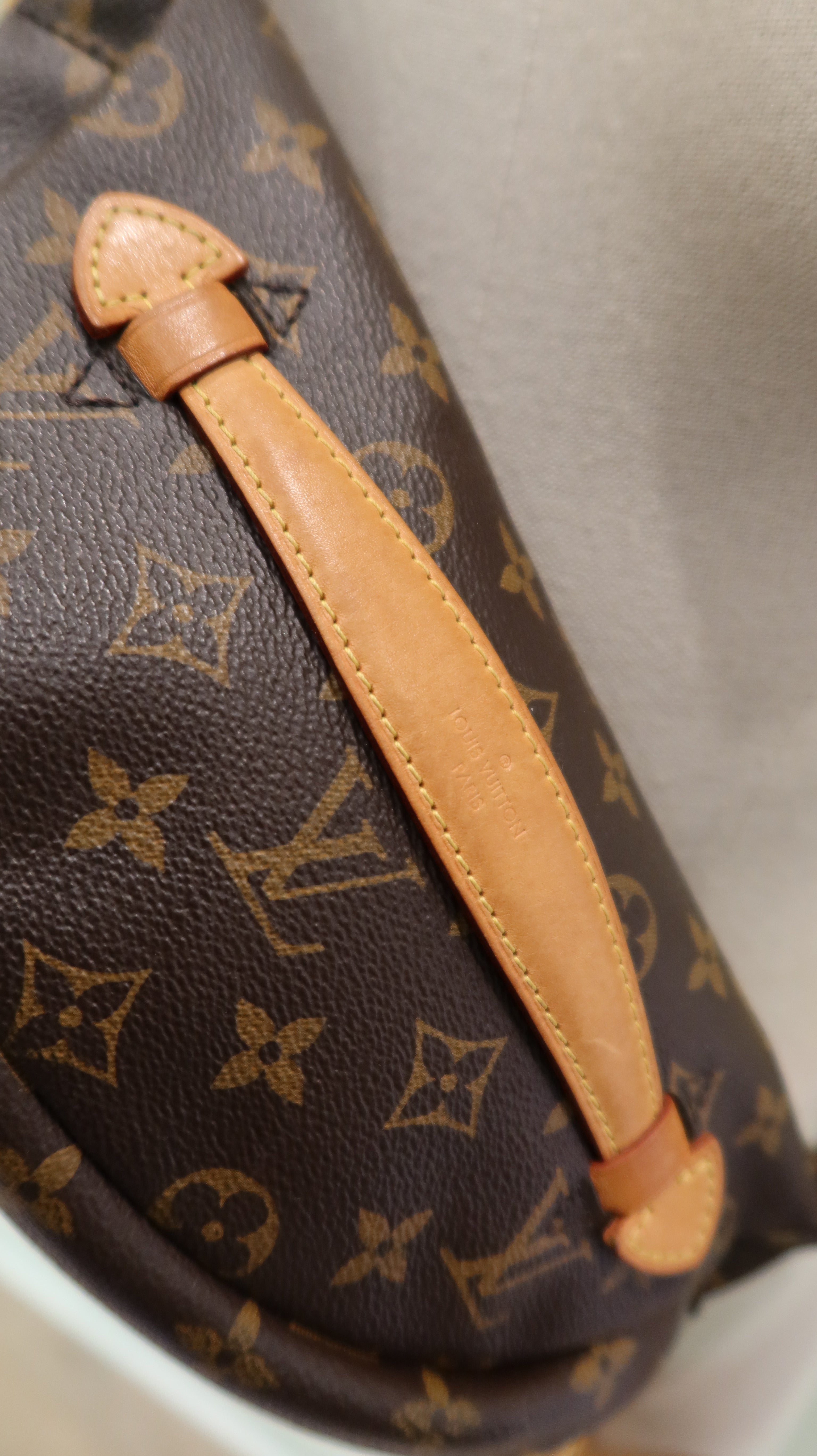 Louis Vuitton Bumbag