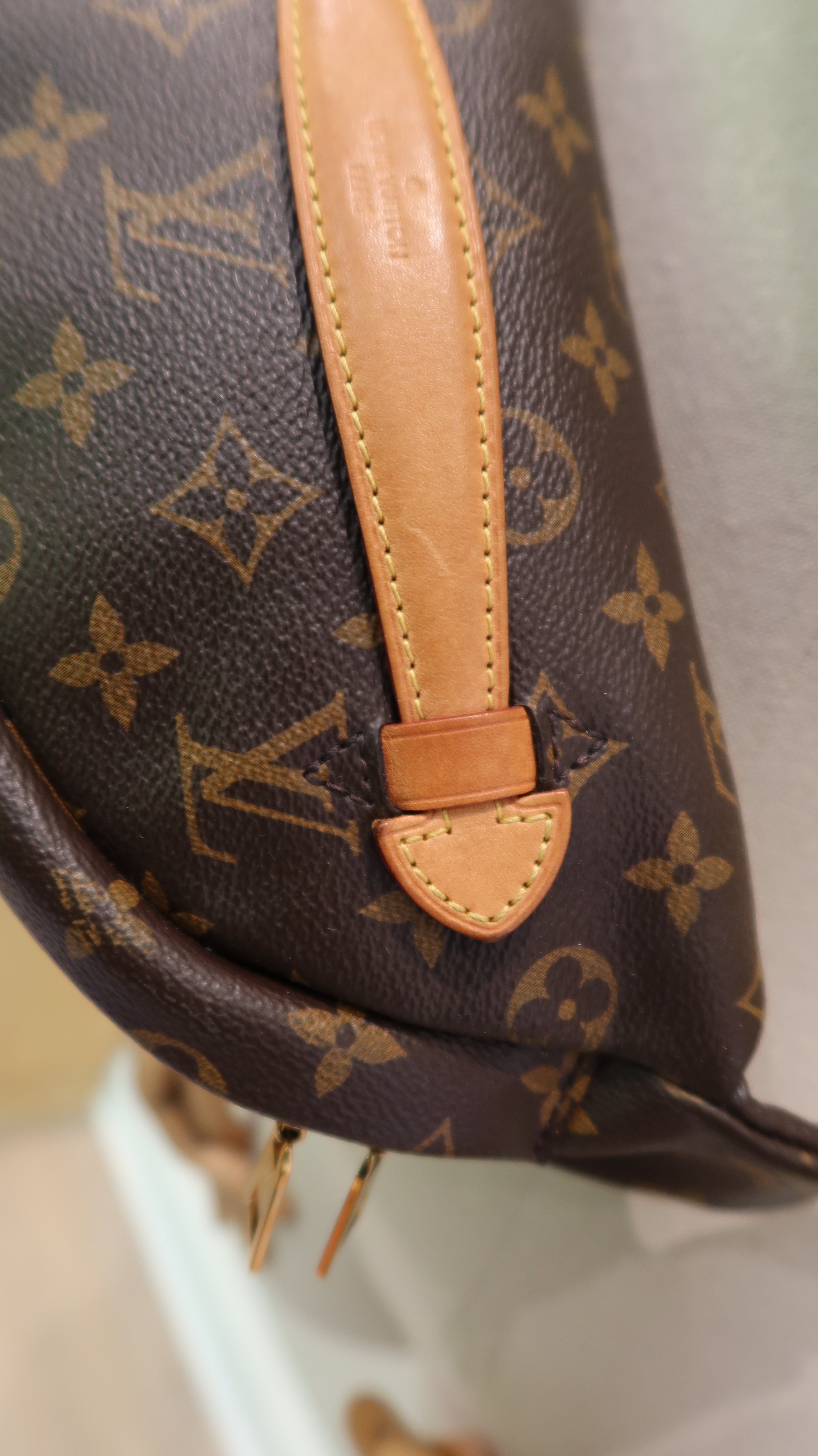 Louis Vuitton Bumbag