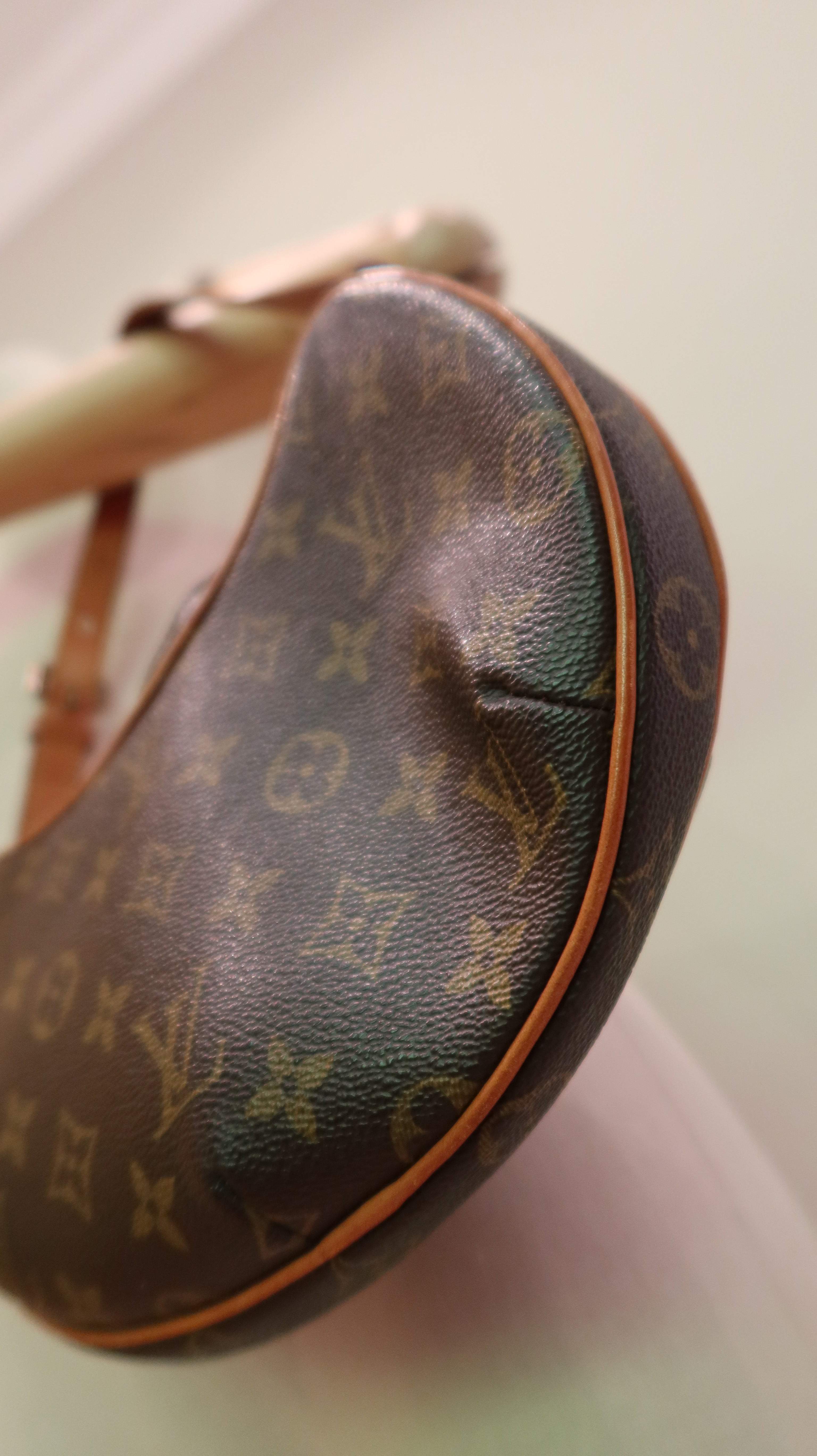 Louis Vuitton Croissant PM