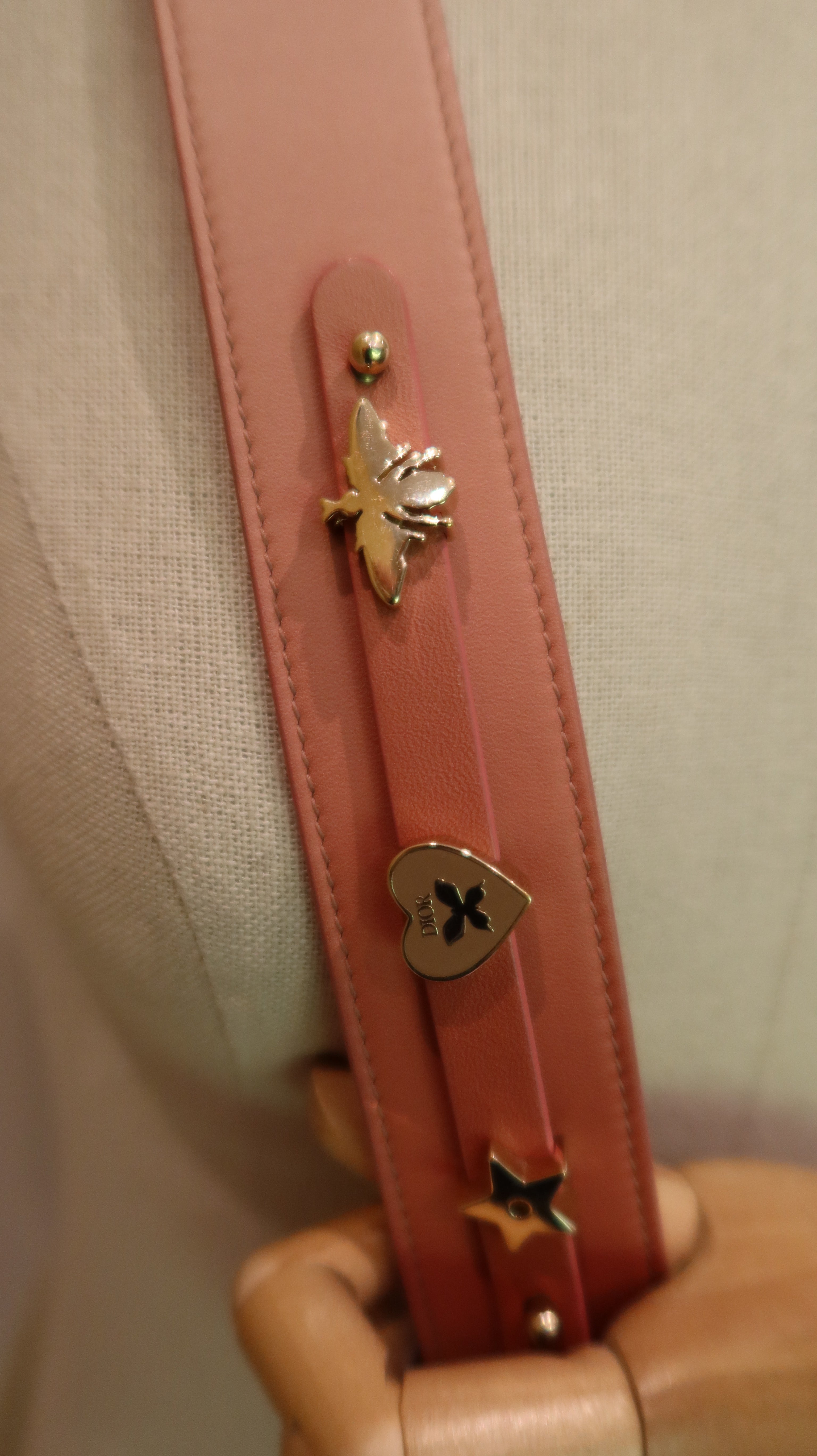 Lady Dior ABC Bag *Limited Edition*