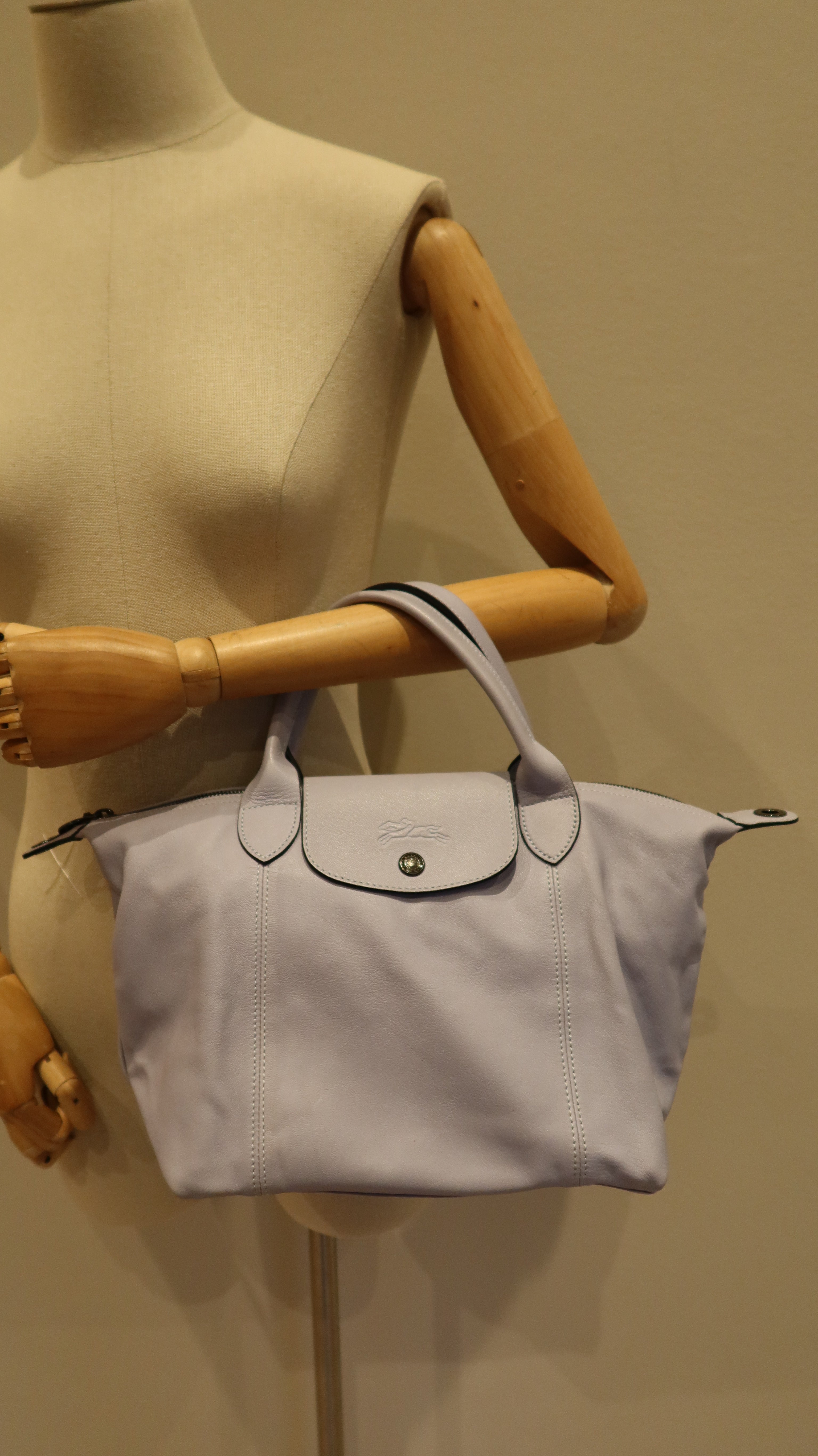 Longchamp Le Pliage Cuir Handbag