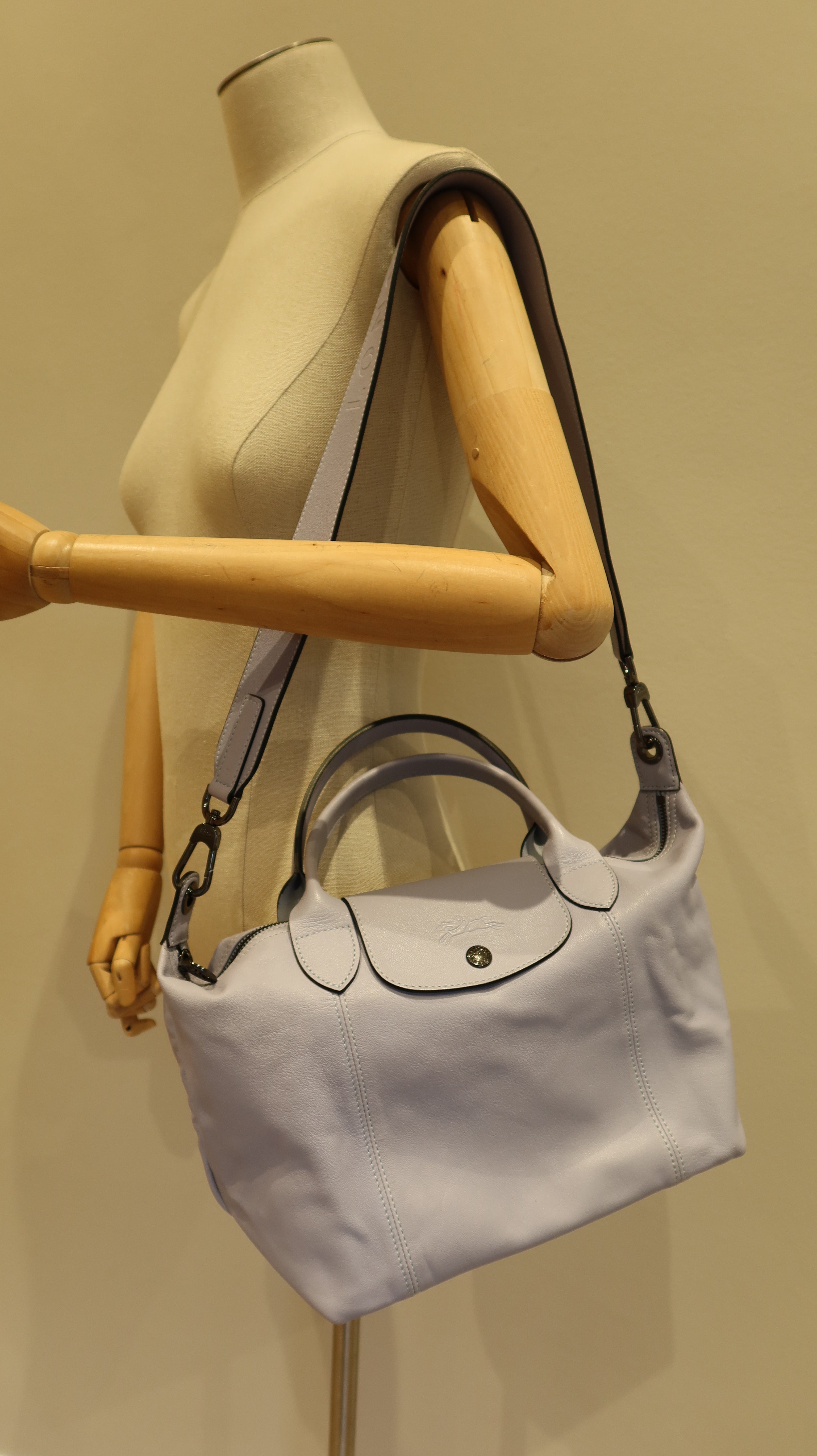Longchamp Le Pliage Cuir Handbag
