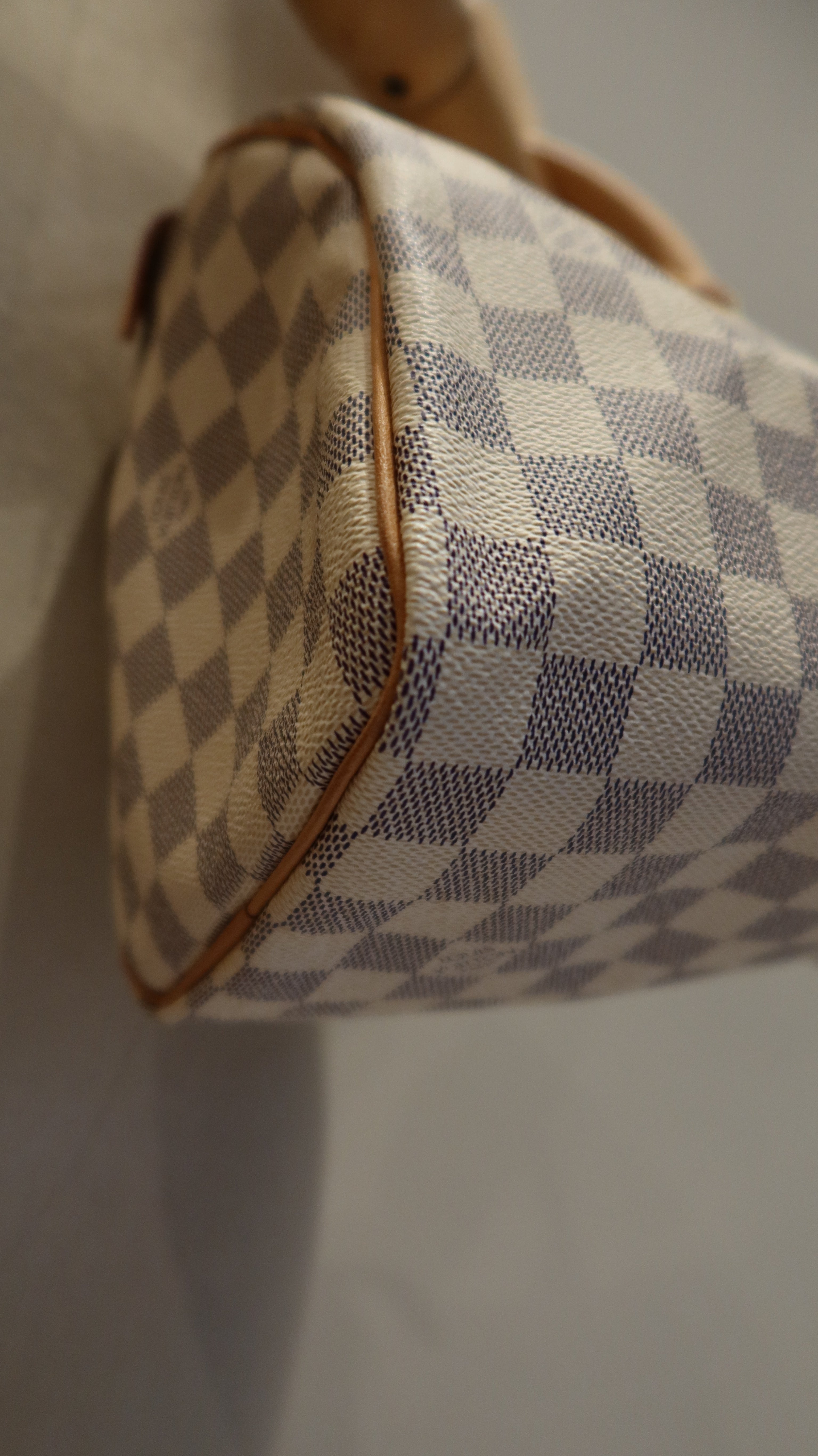 Louis Vuitton Speedy 25