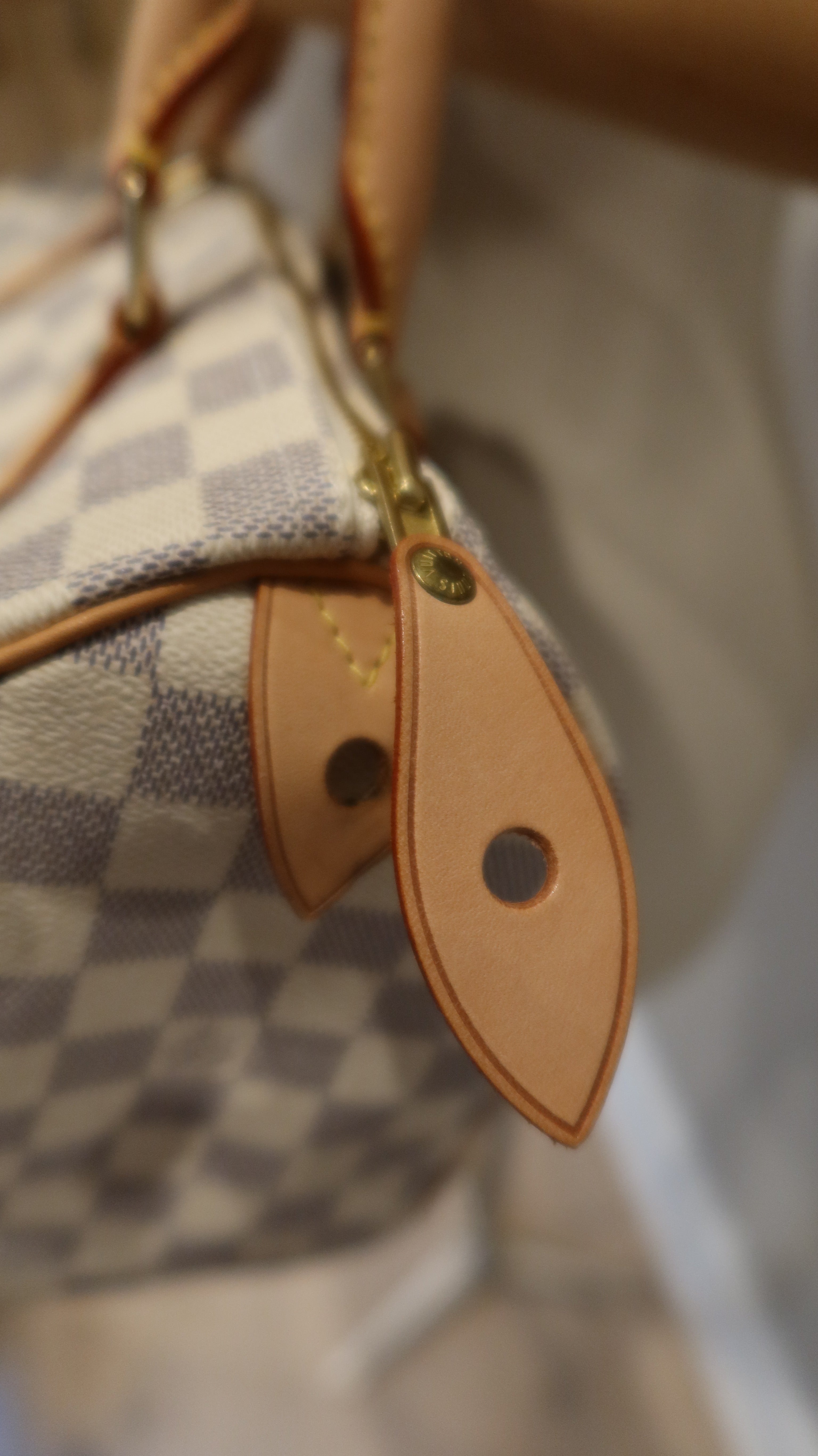 Louis Vuitton Speedy 25