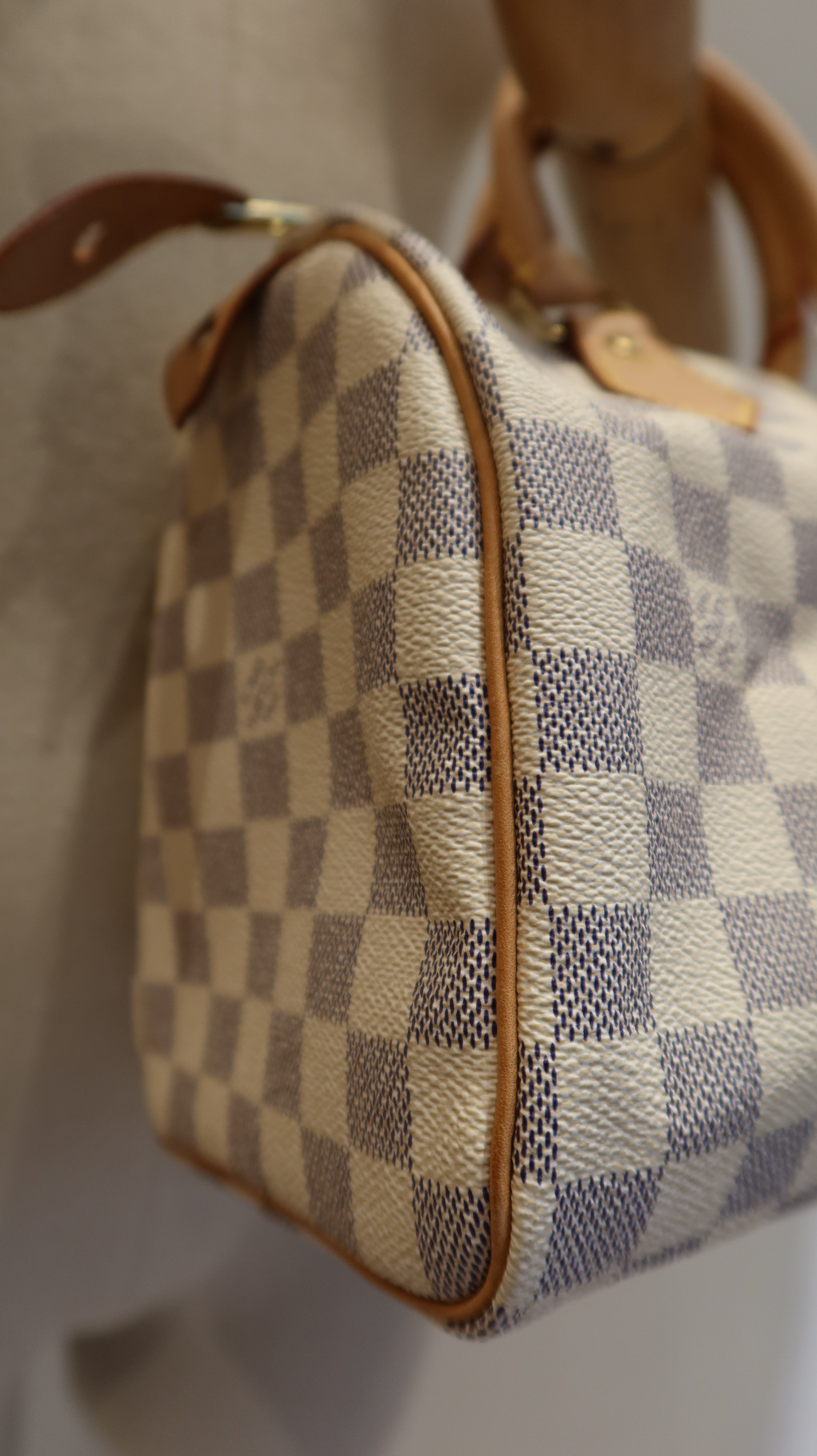 Louis Vuitton Speedy 25