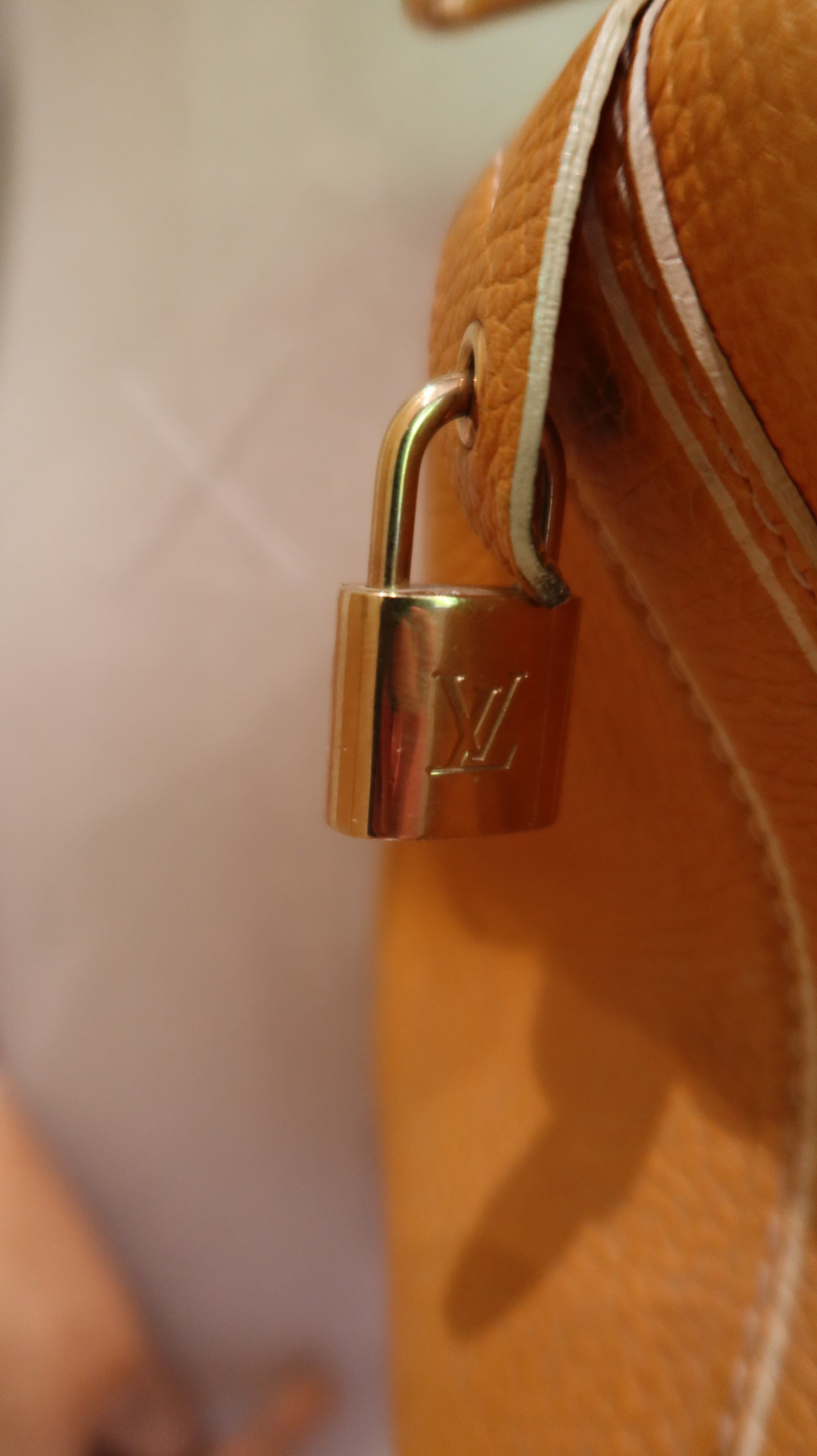 Louis Vuitton Boston Bag 50