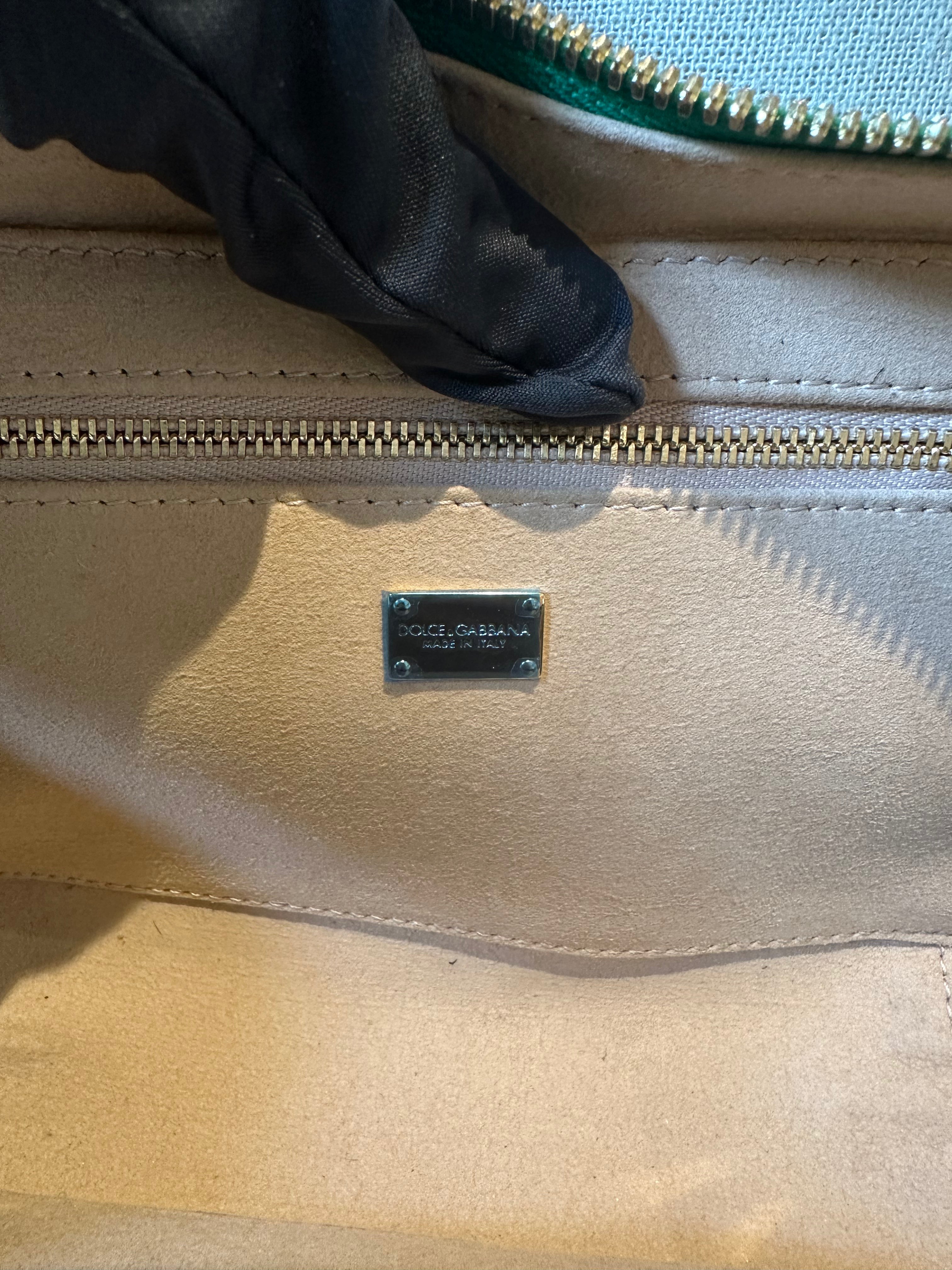 Dolce & Gabbana Camera Bag