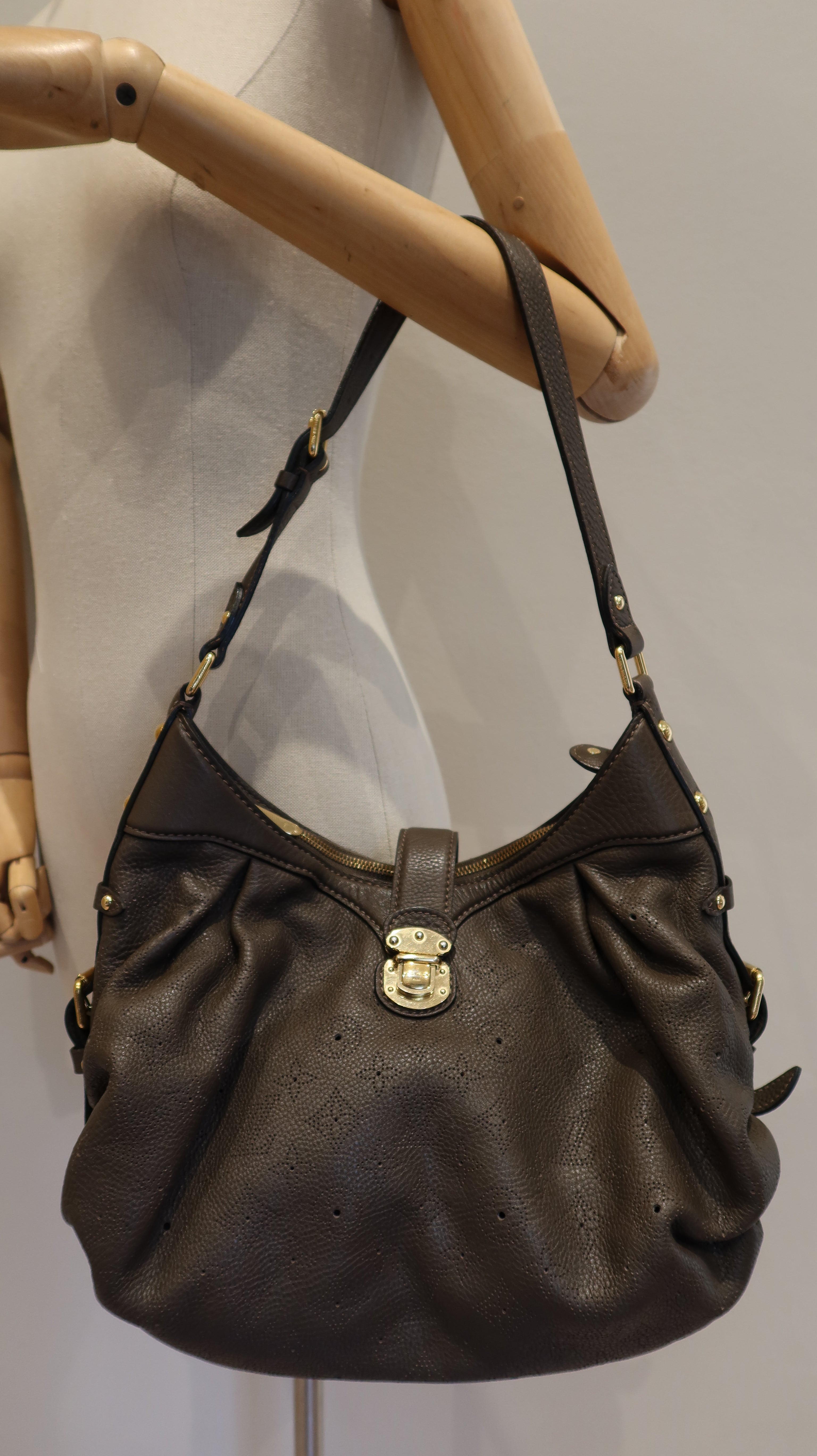 Louis Vuitton Mahina XS Bag