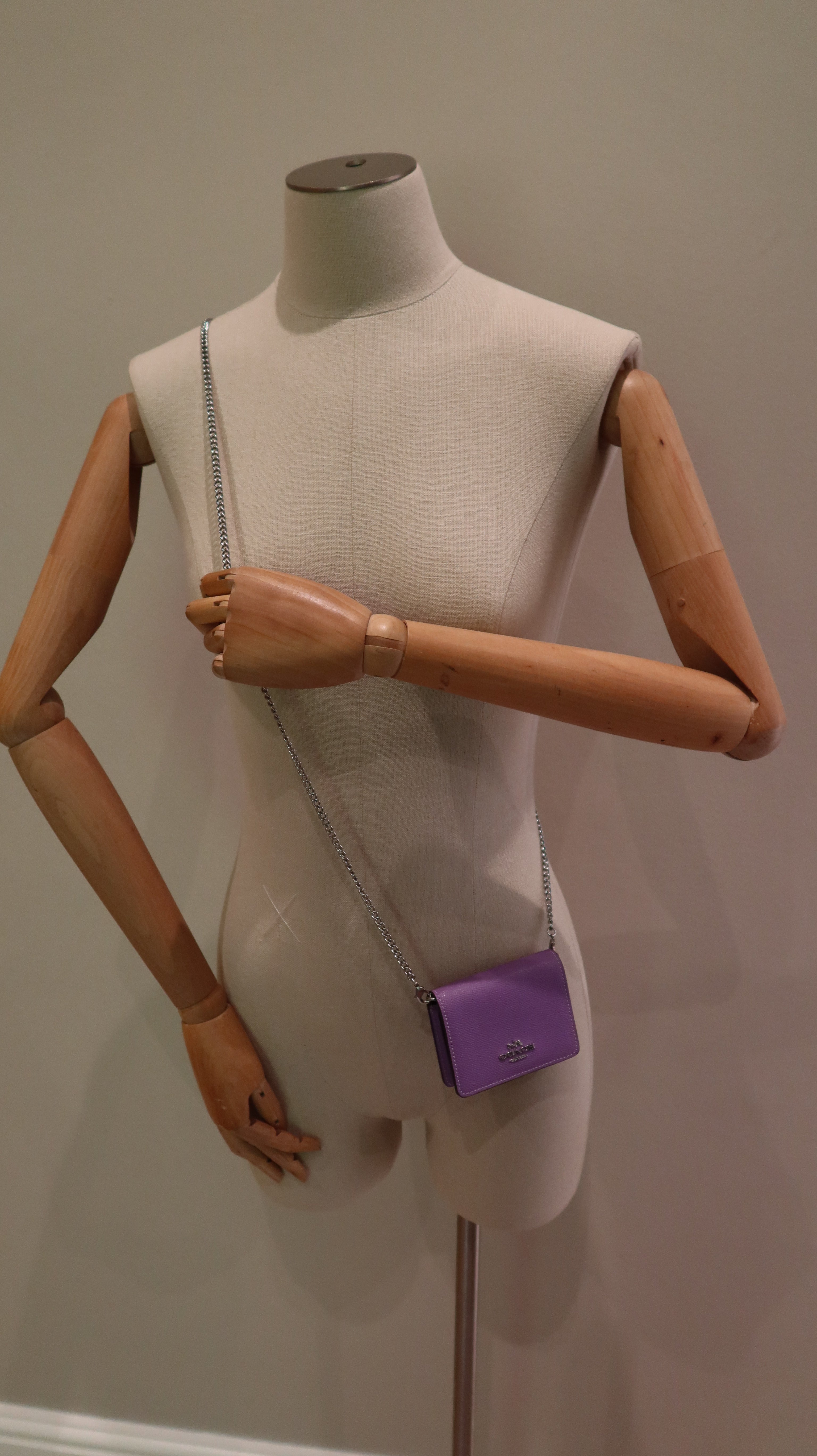 Coach Mini Wallet on Chain