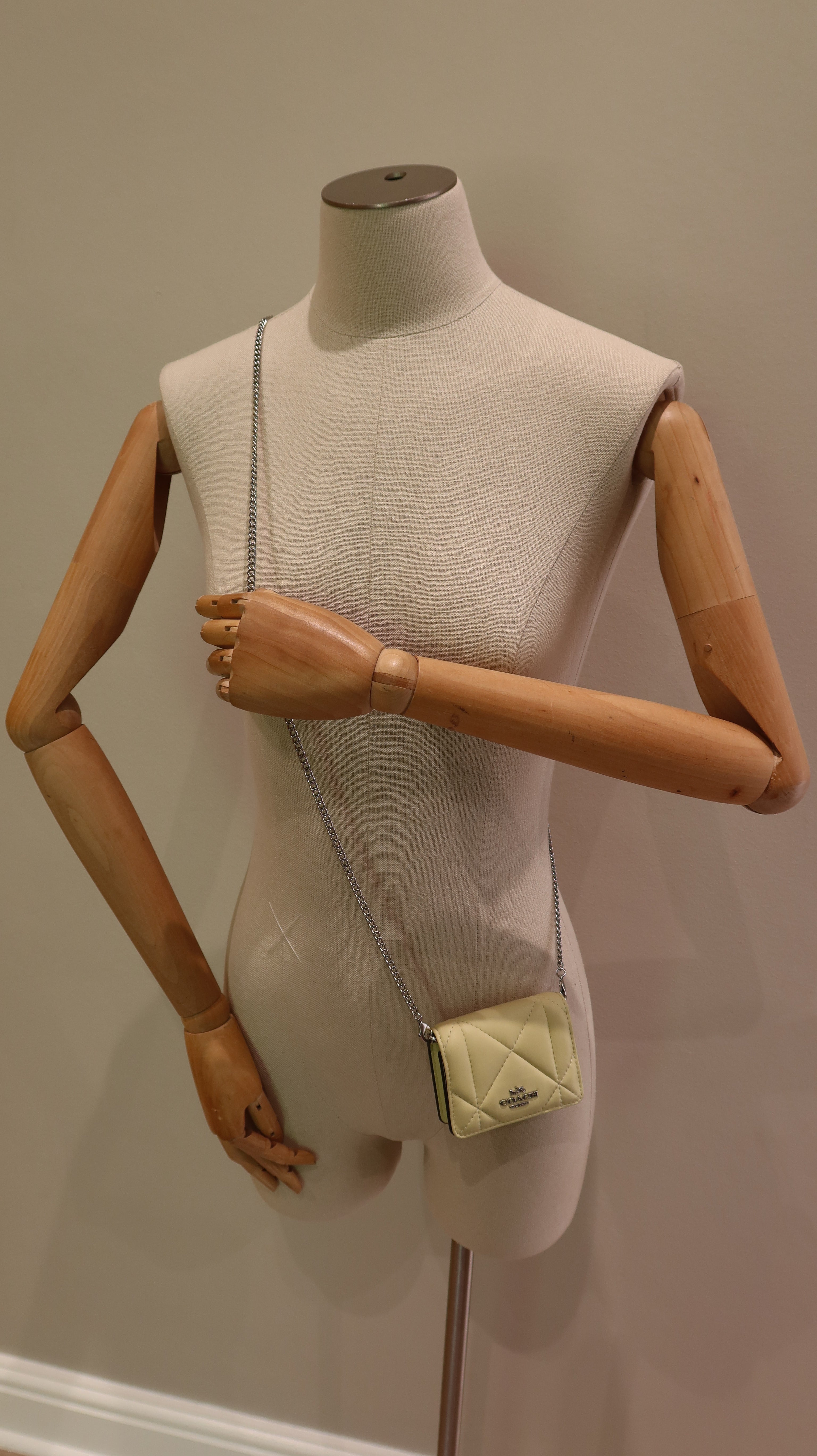 Coach Mini Wallet on Chain