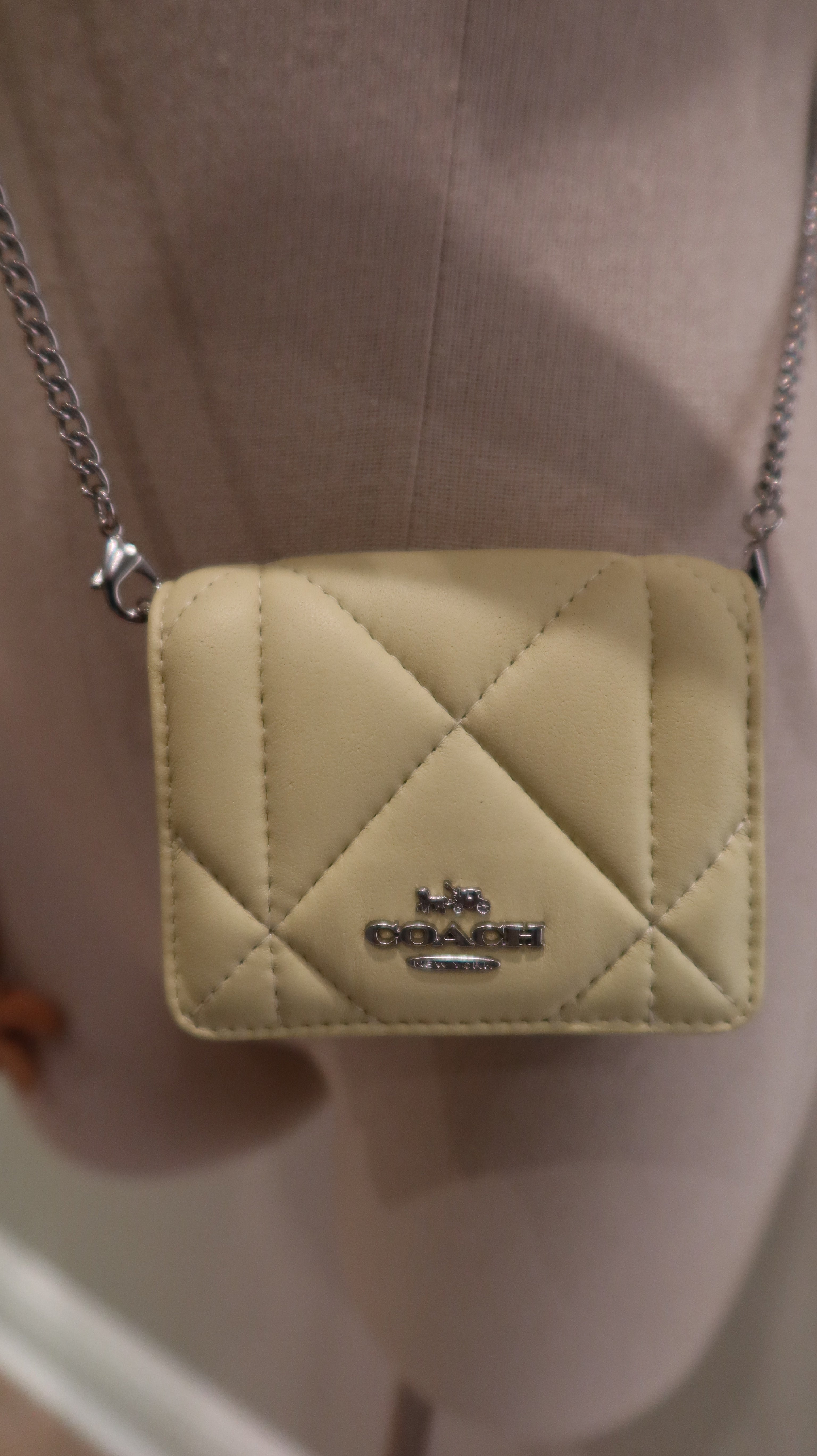 Coach Mini Wallet on Chain