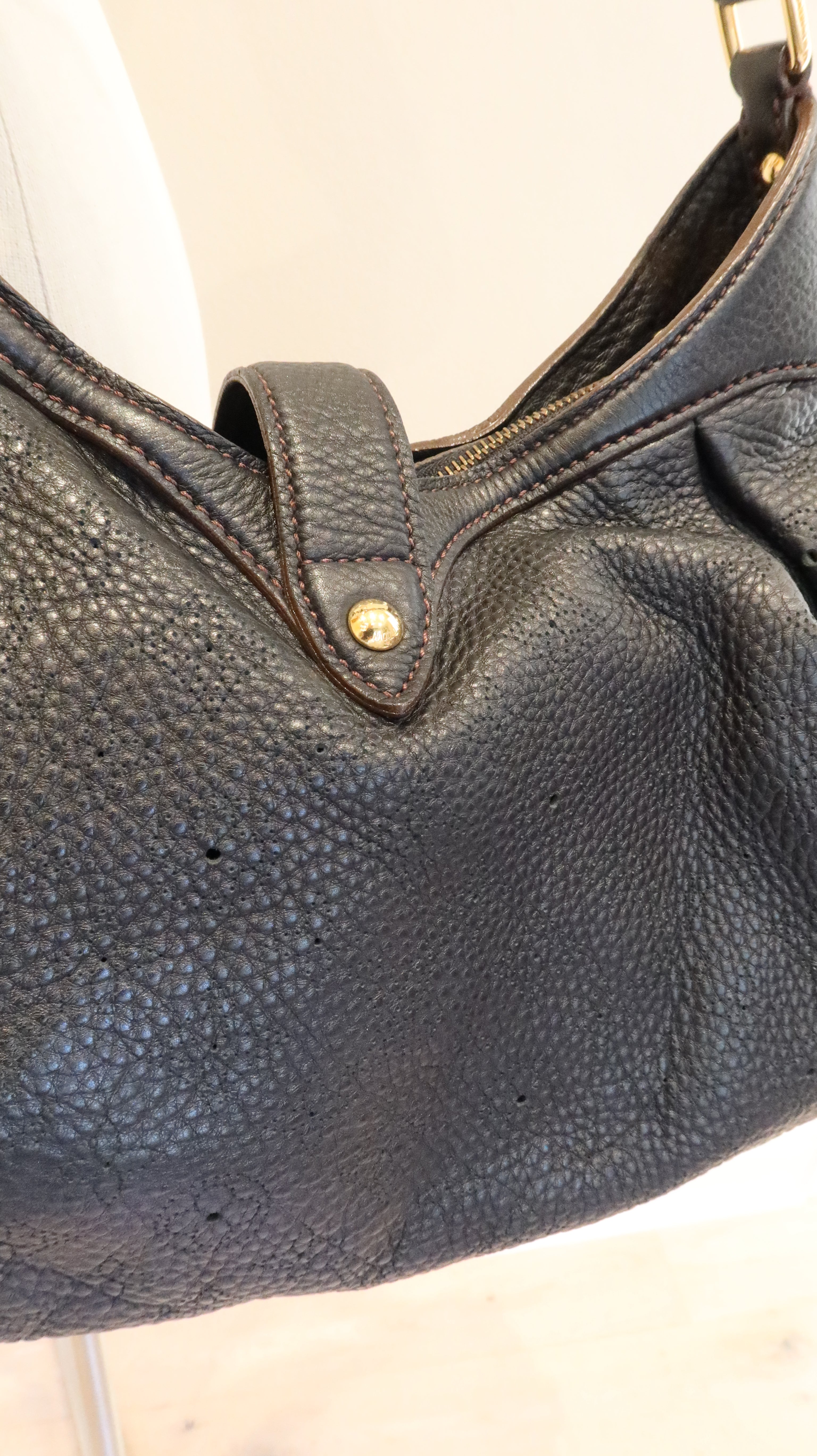 Louis Vuitton Mahina XS Tote Bag