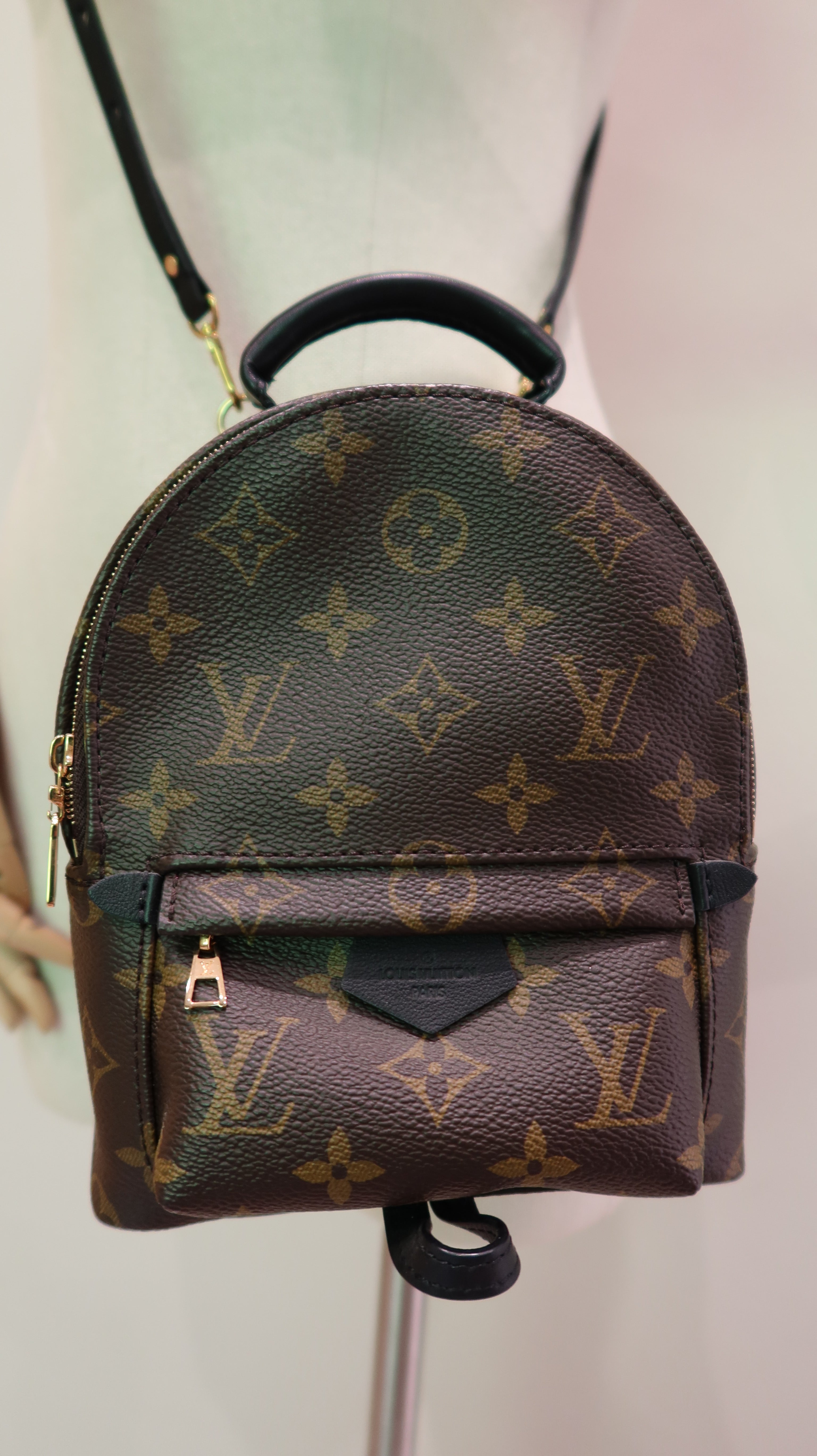 Louis Vuitton Palm Springs Mini *Full Set*