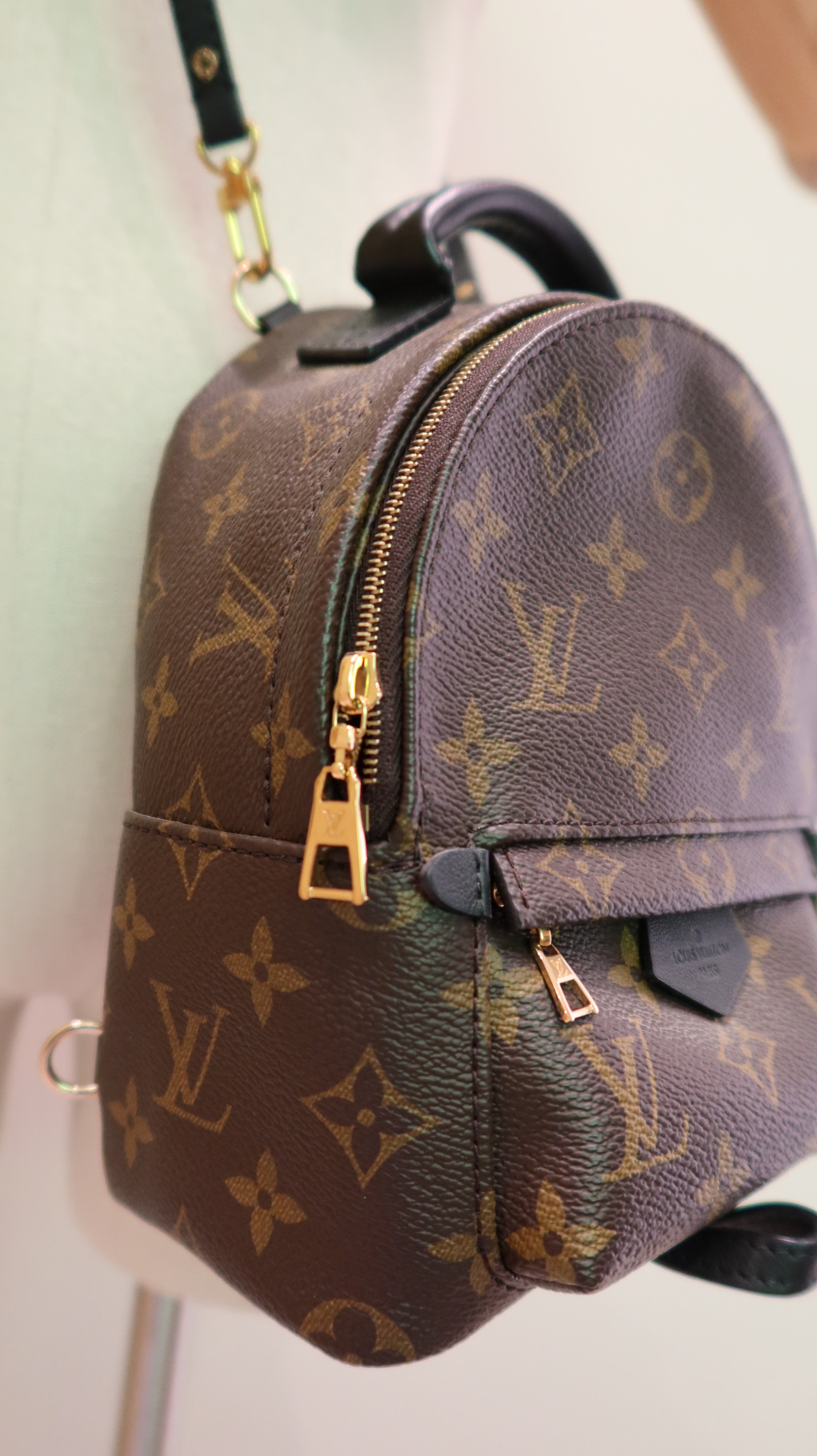 Louis Vuitton Palm Springs Mini *Full Set*