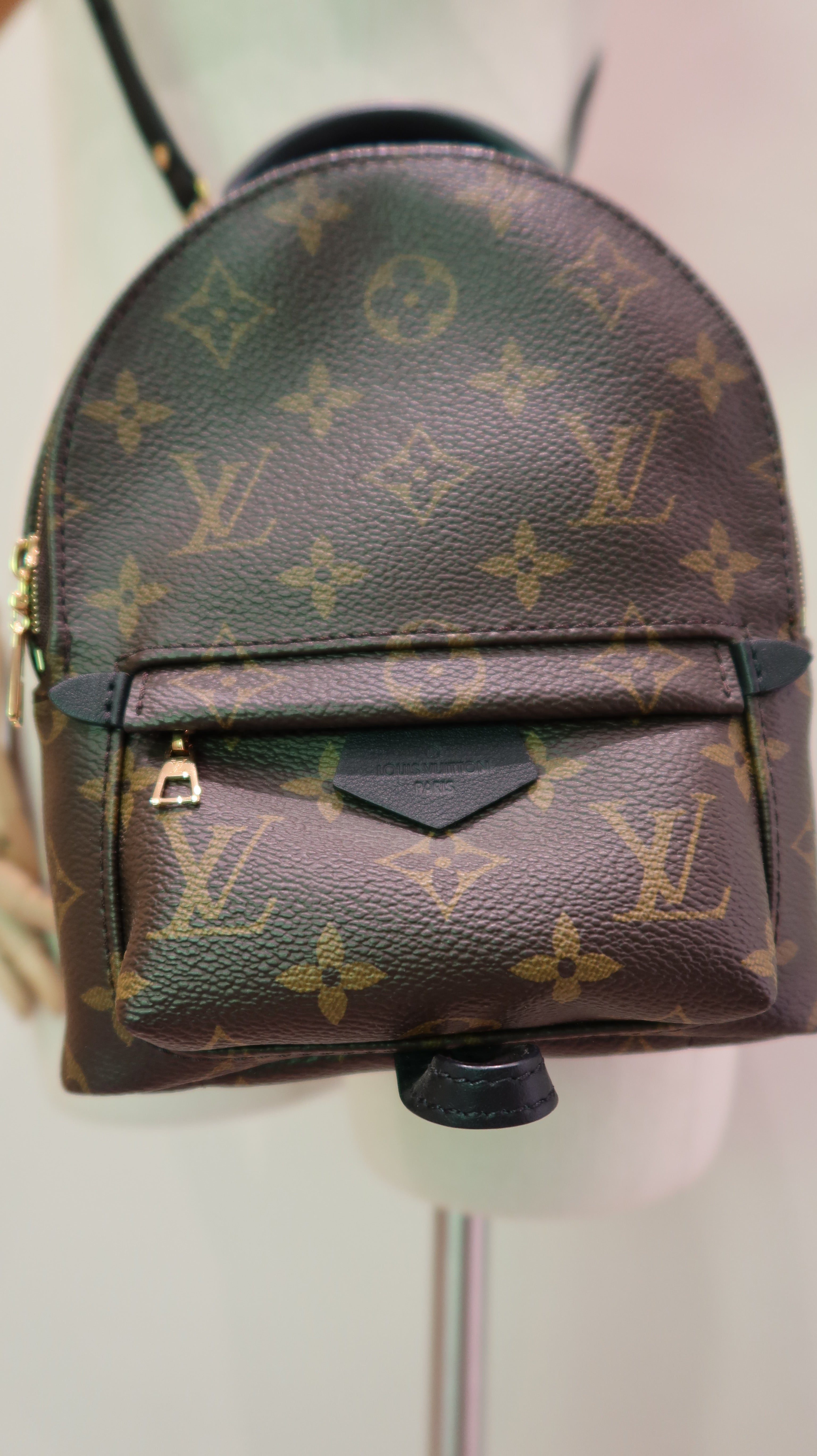 Louis Vuitton Palm Springs Mini *Full Set*