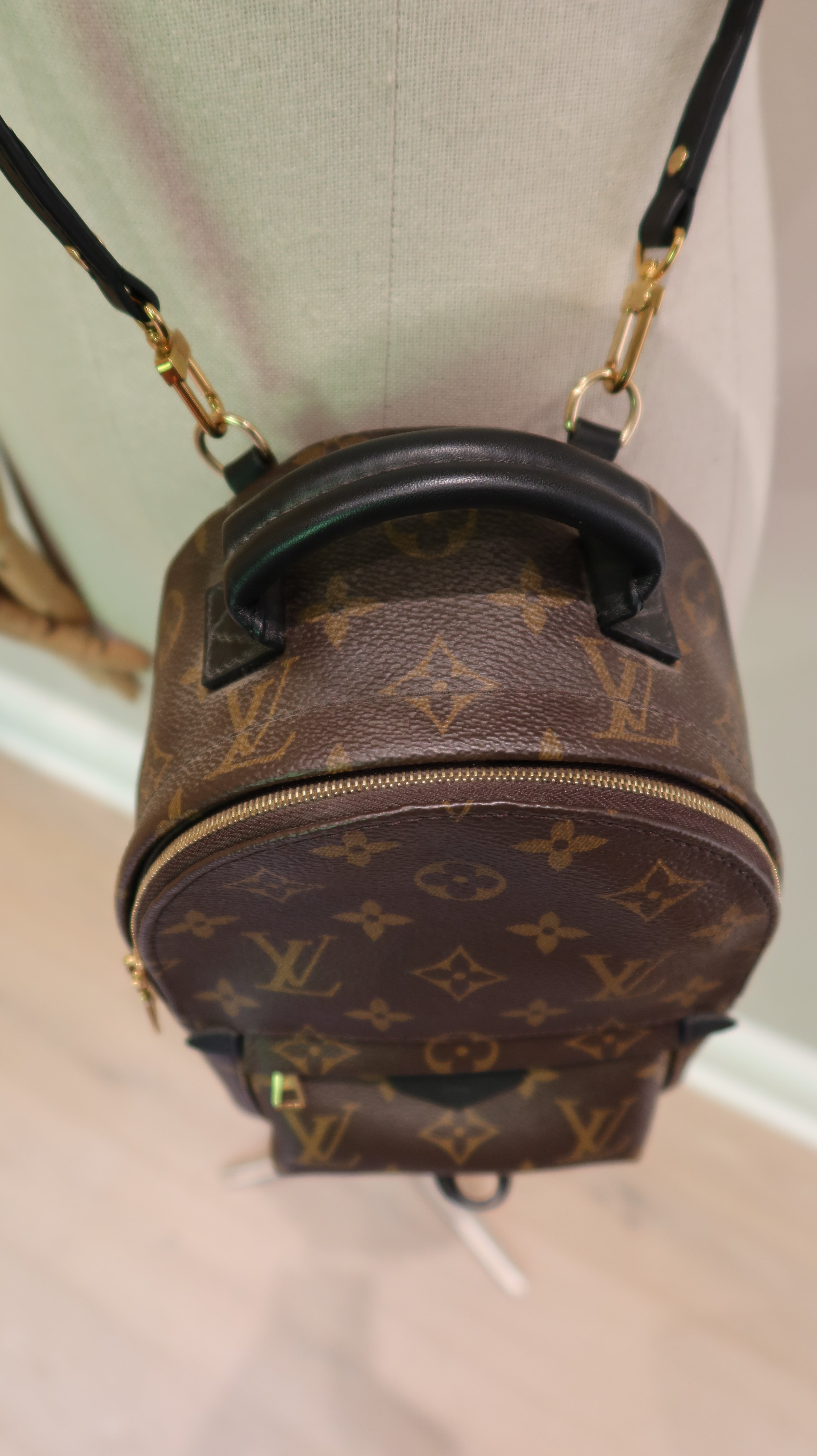 Louis Vuitton Palm Springs Mini *Full Set*