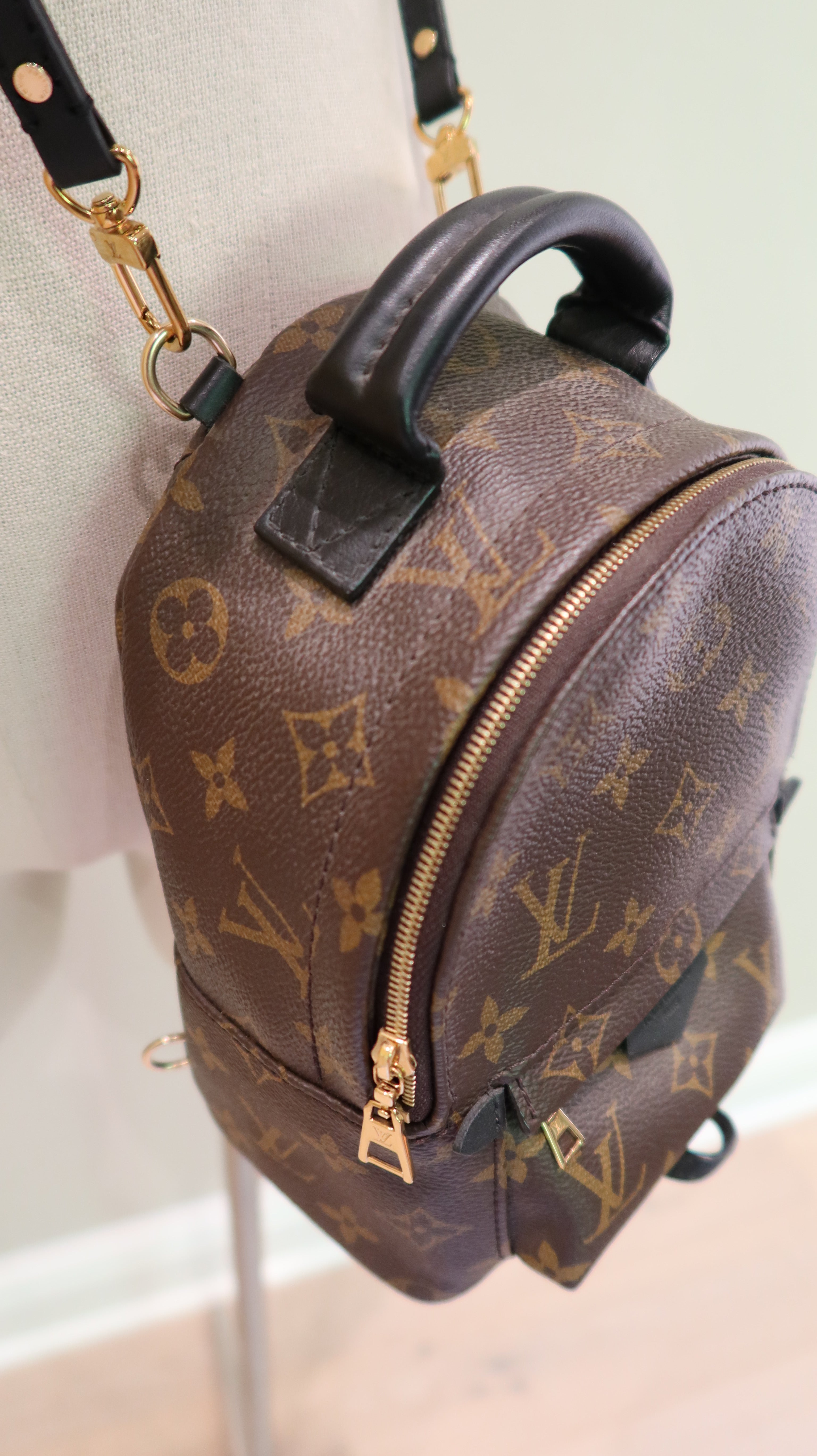 Louis Vuitton Palm Springs Mini *Full Set*