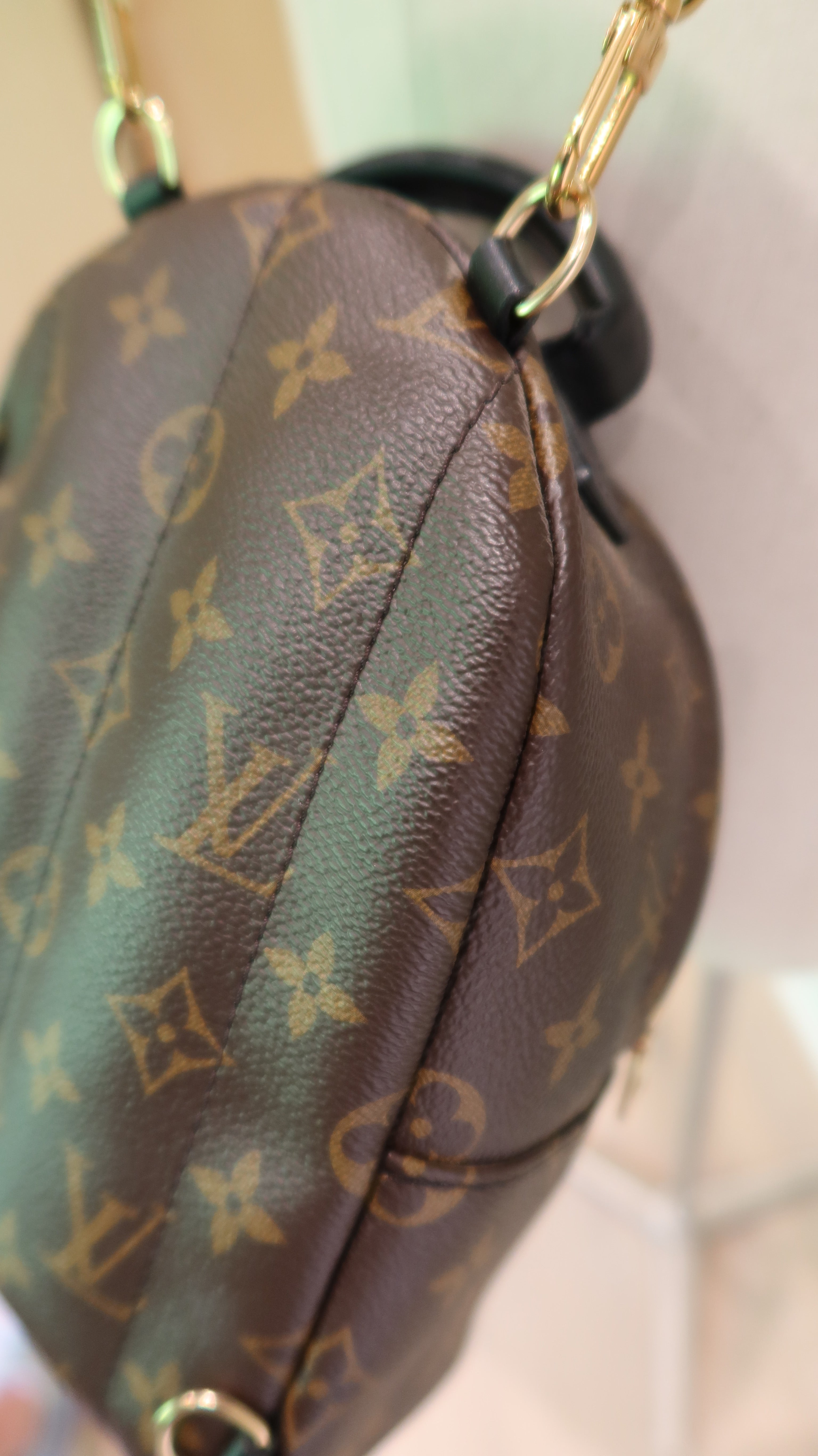 Louis Vuitton Palm Springs Mini *Full Set*