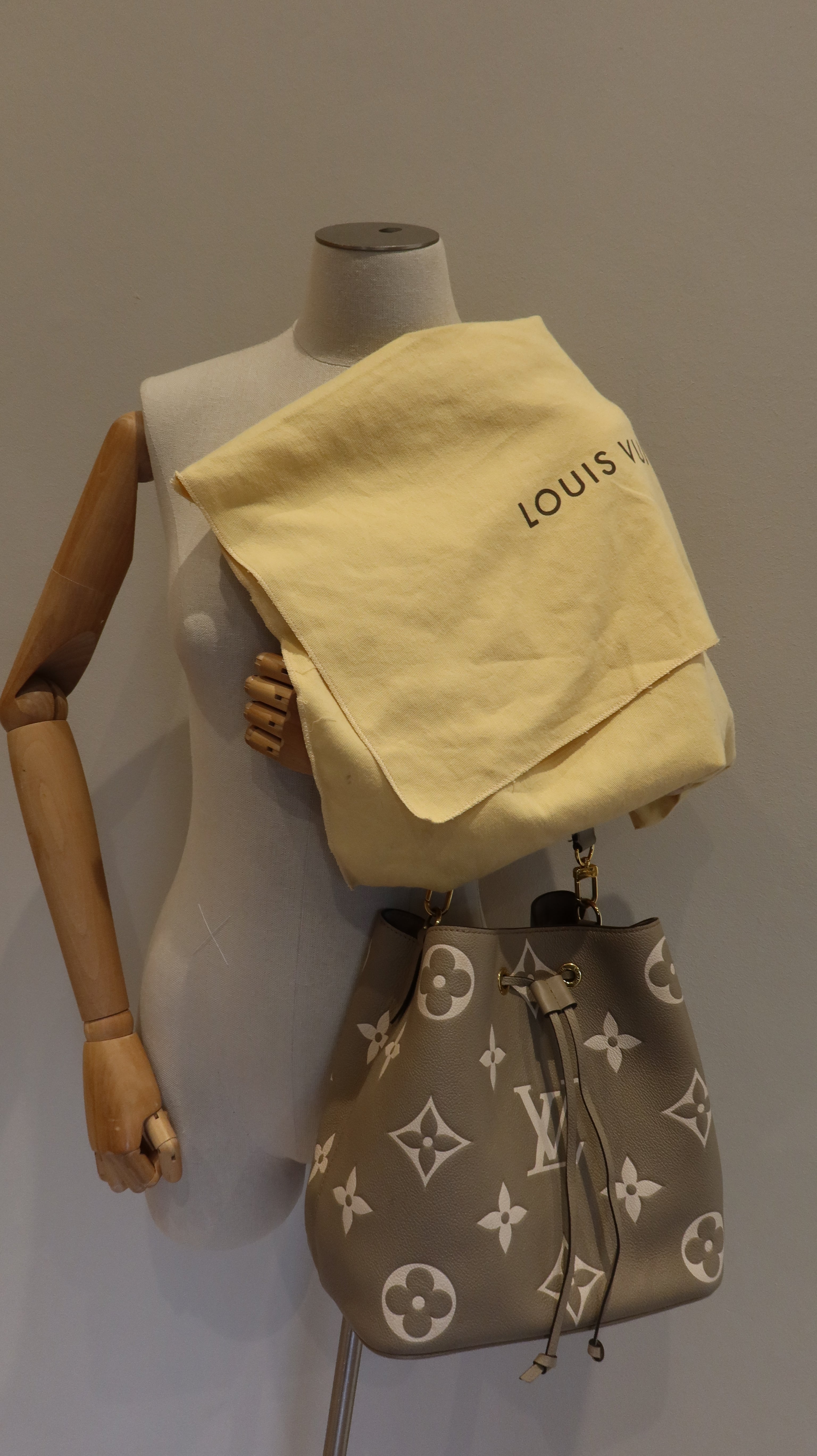 Louis Vuitton NéoNoé MM Bucket Bag