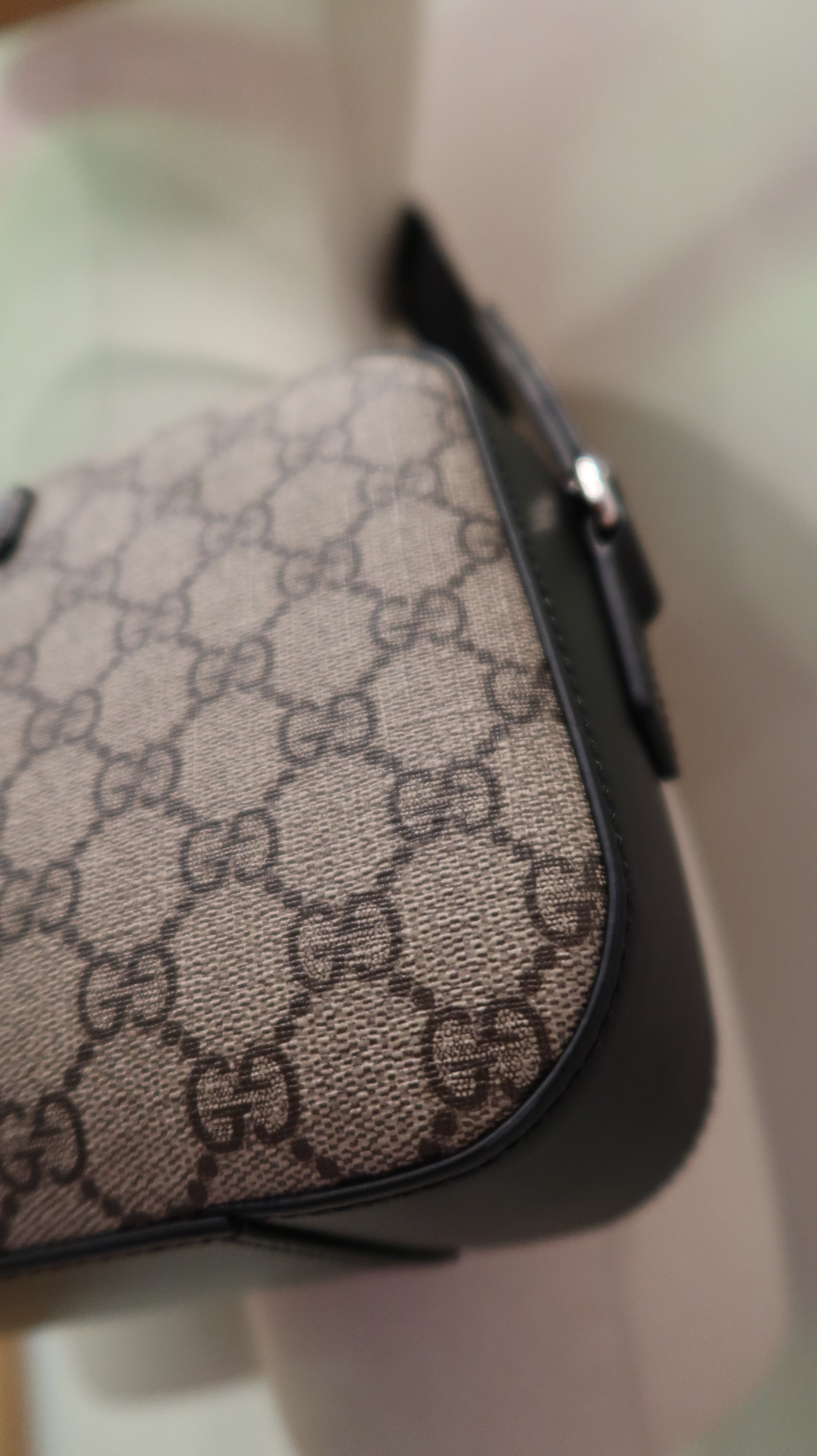 Gucci Supreme Camera Bag