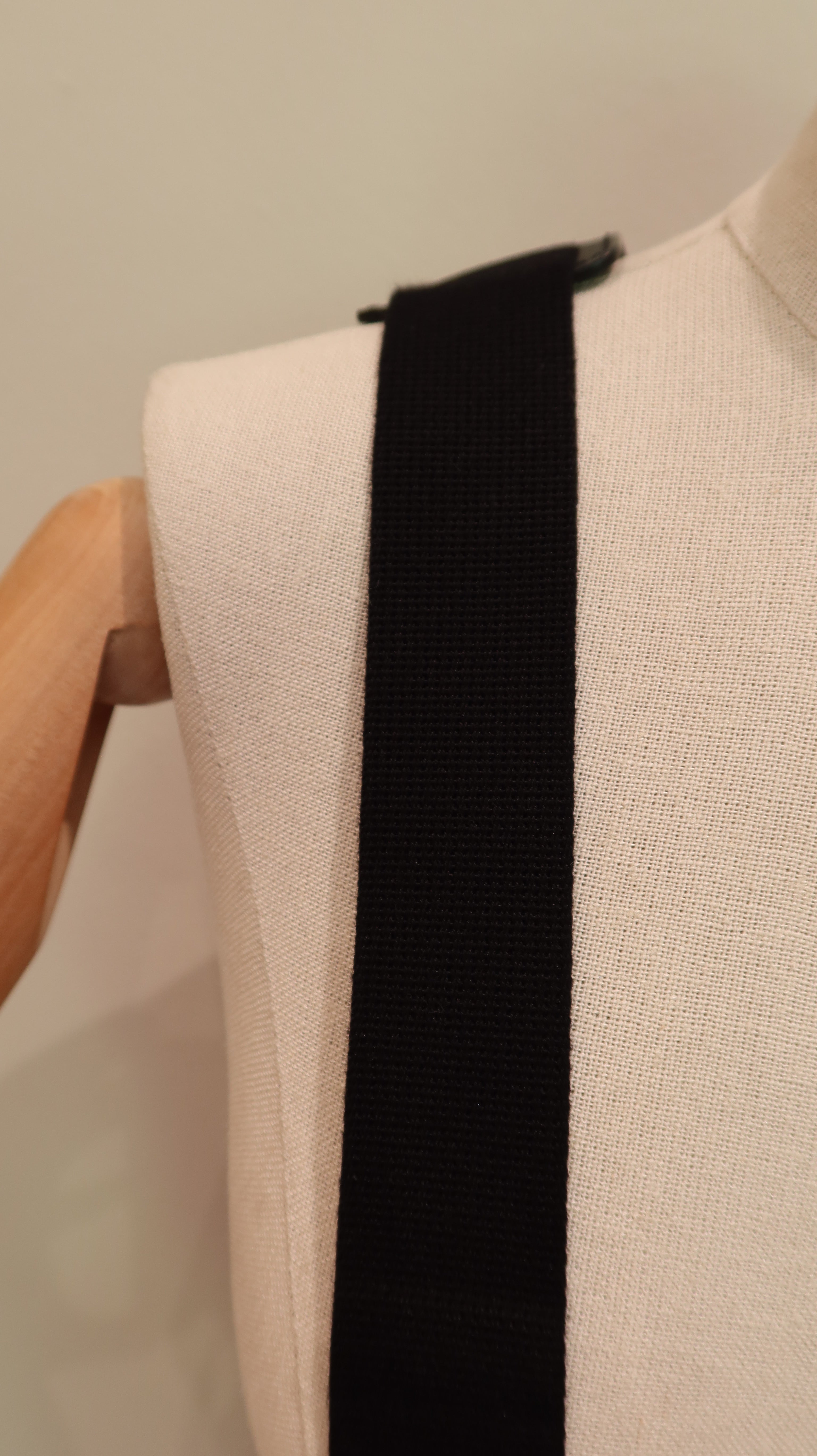 Gucci Supreme Camera Bag