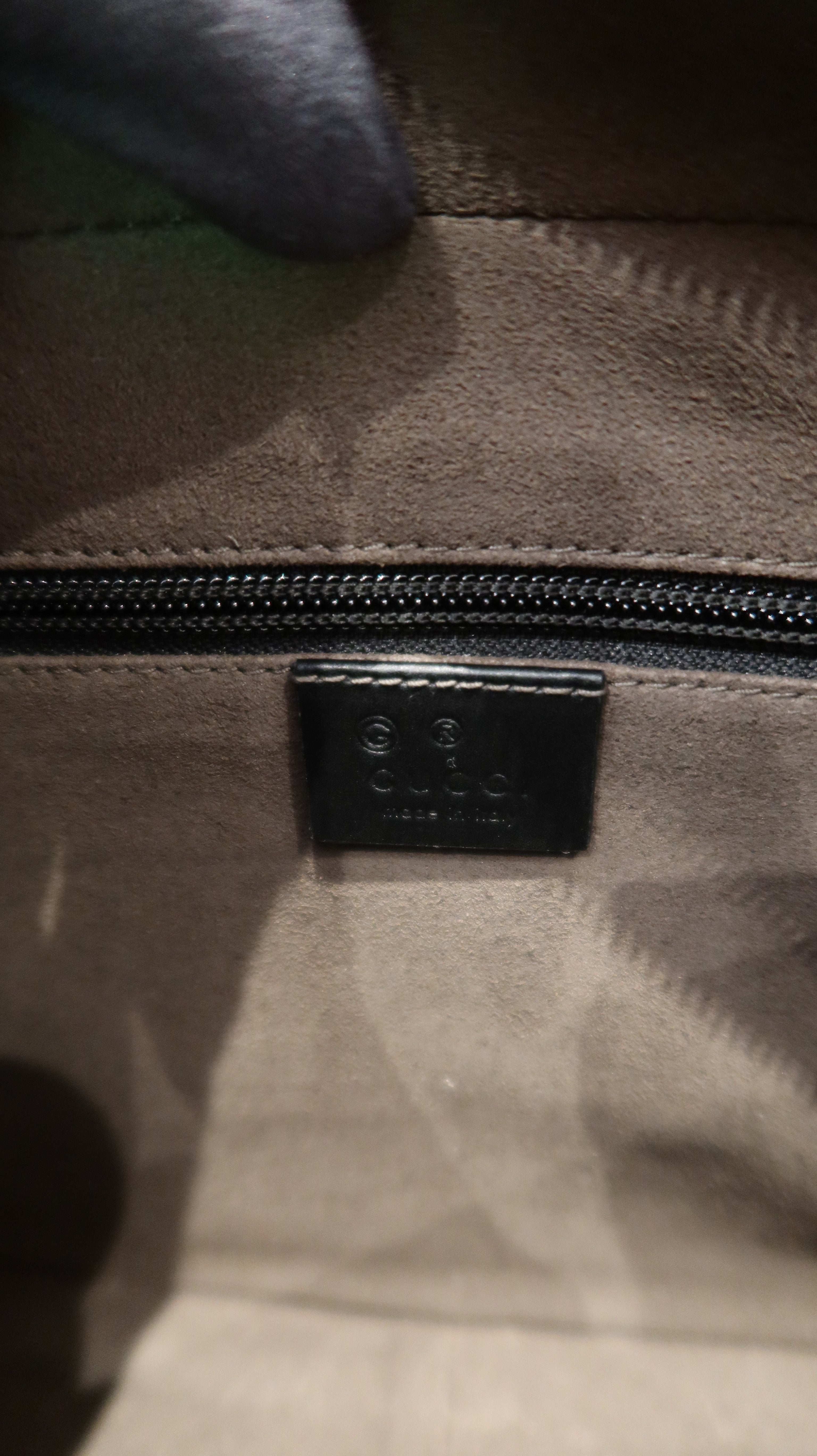 Gucci Supreme Camera Bag