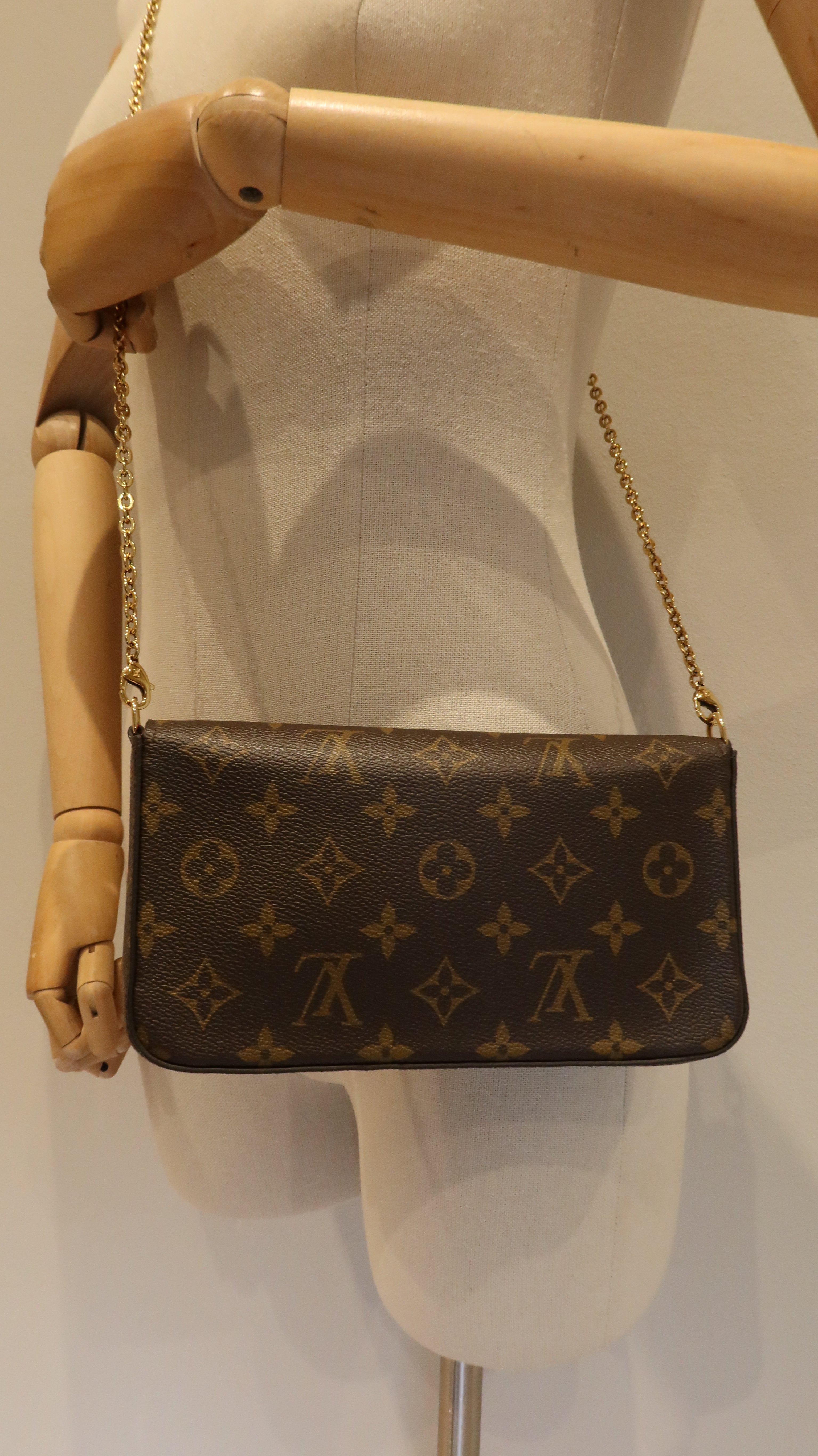 Louis Vuitton Felicie Pochette *Limited Edition*